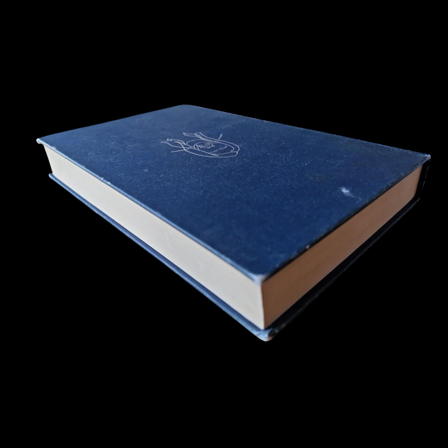 Dave Grohl- The Storyteller image 5