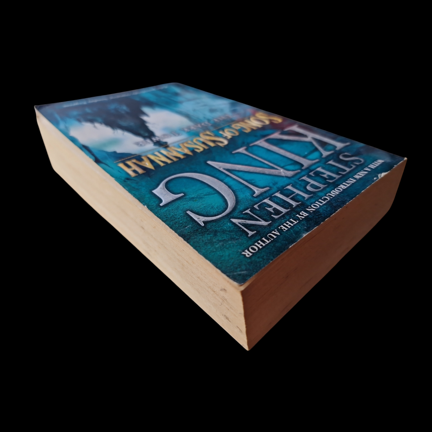 Stephen King- The Dark Tower - Song Of Susannah image 5