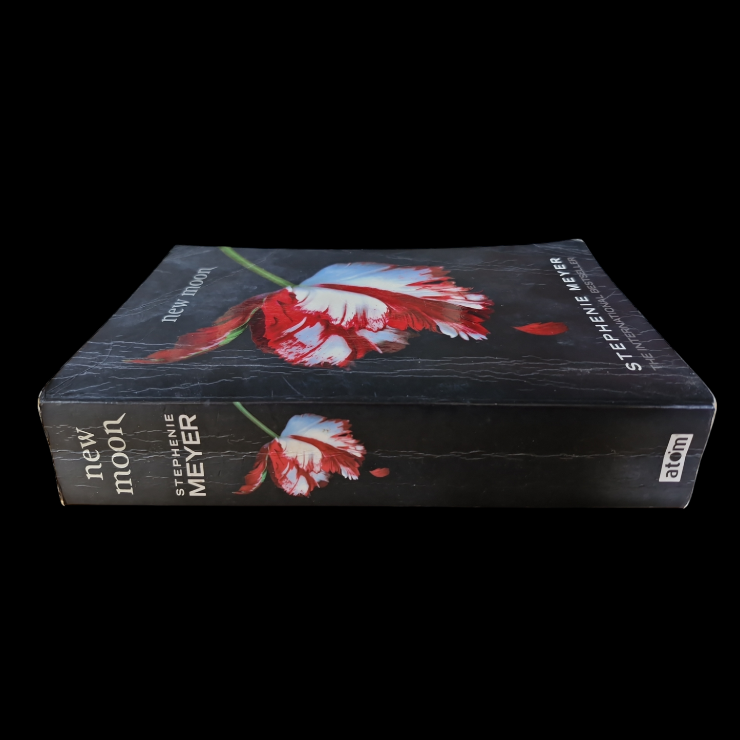 Stephanie Meyer- New Moon image 3