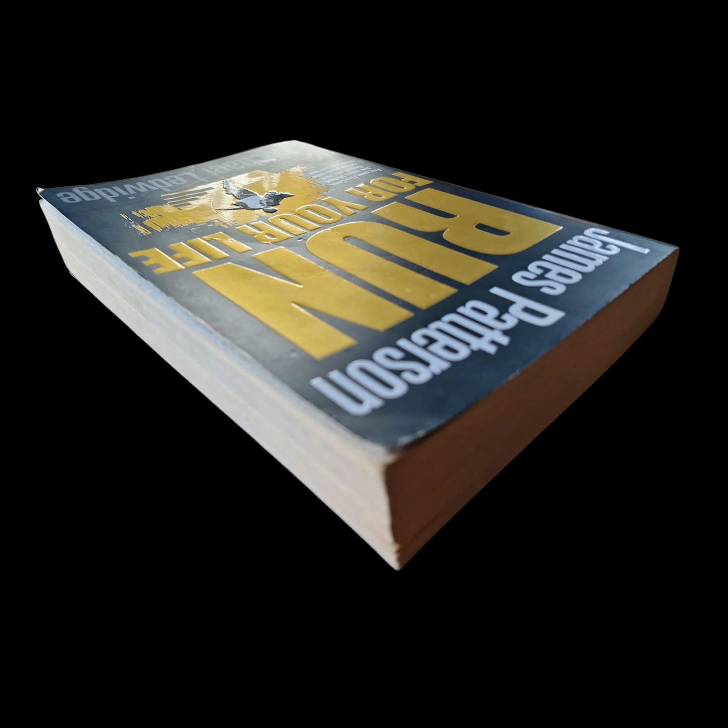 James Patterson- Run For Your Life image 5