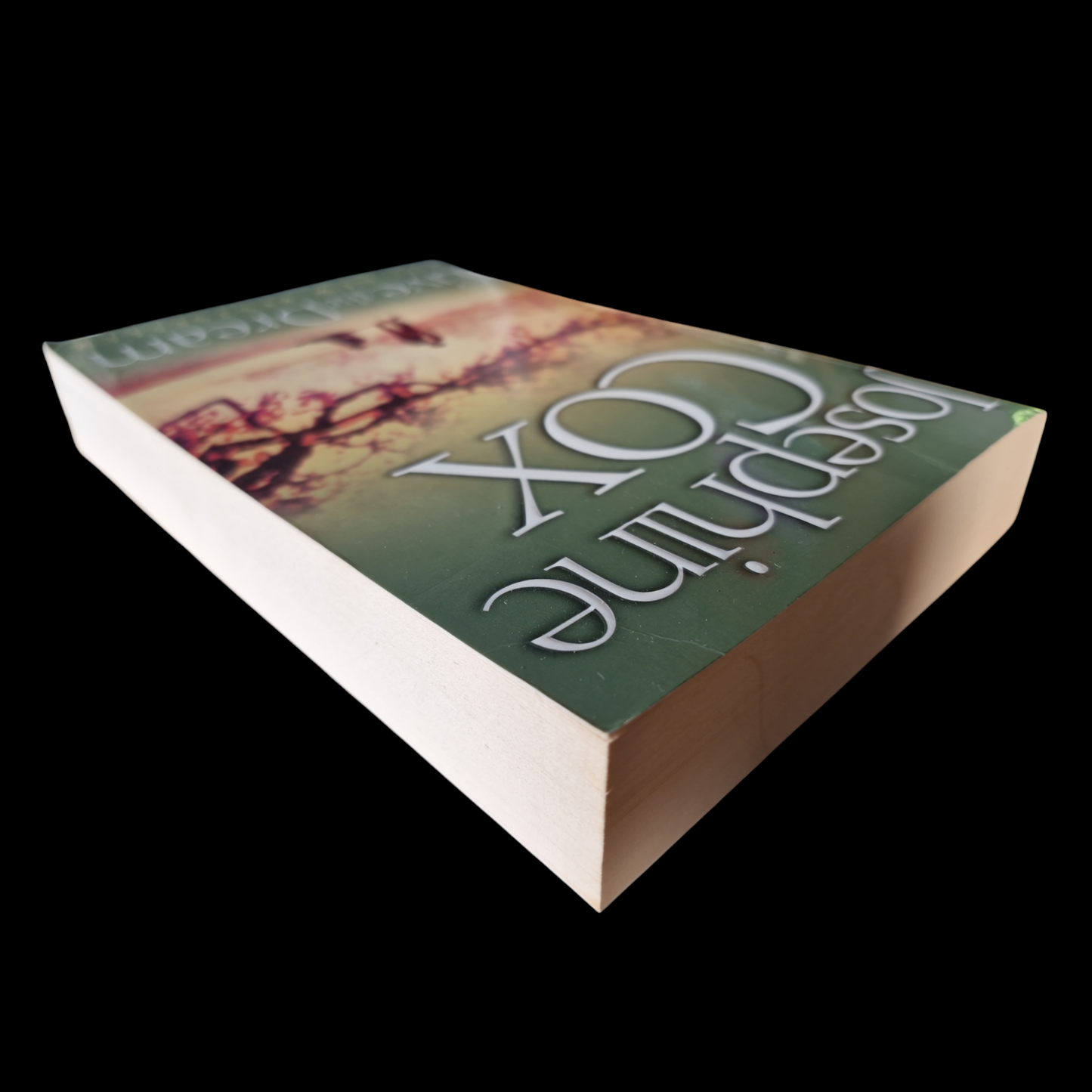 Josephine Cox- Live The Dream image 5