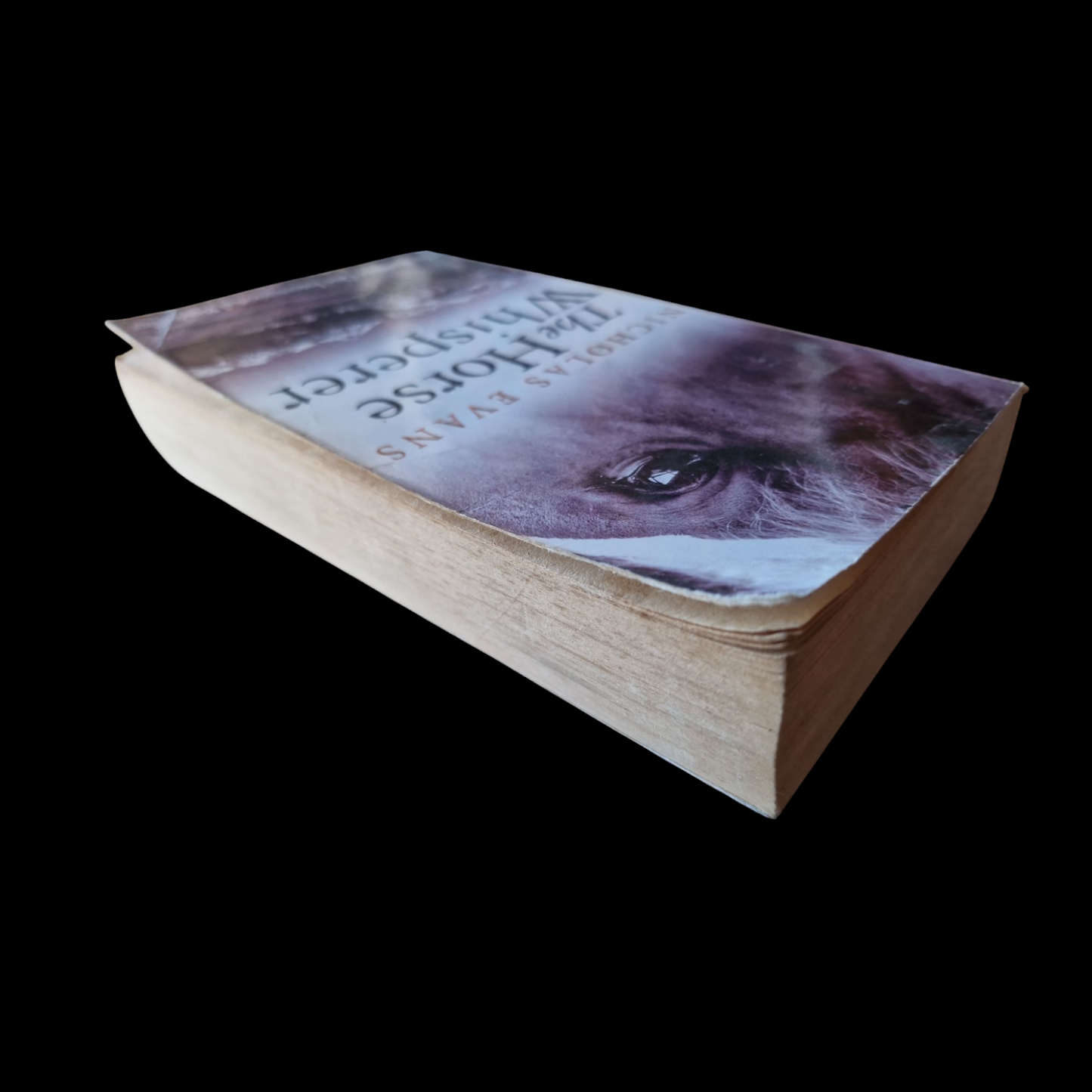 Nicholas Evans- The Horse Whisperer image 5