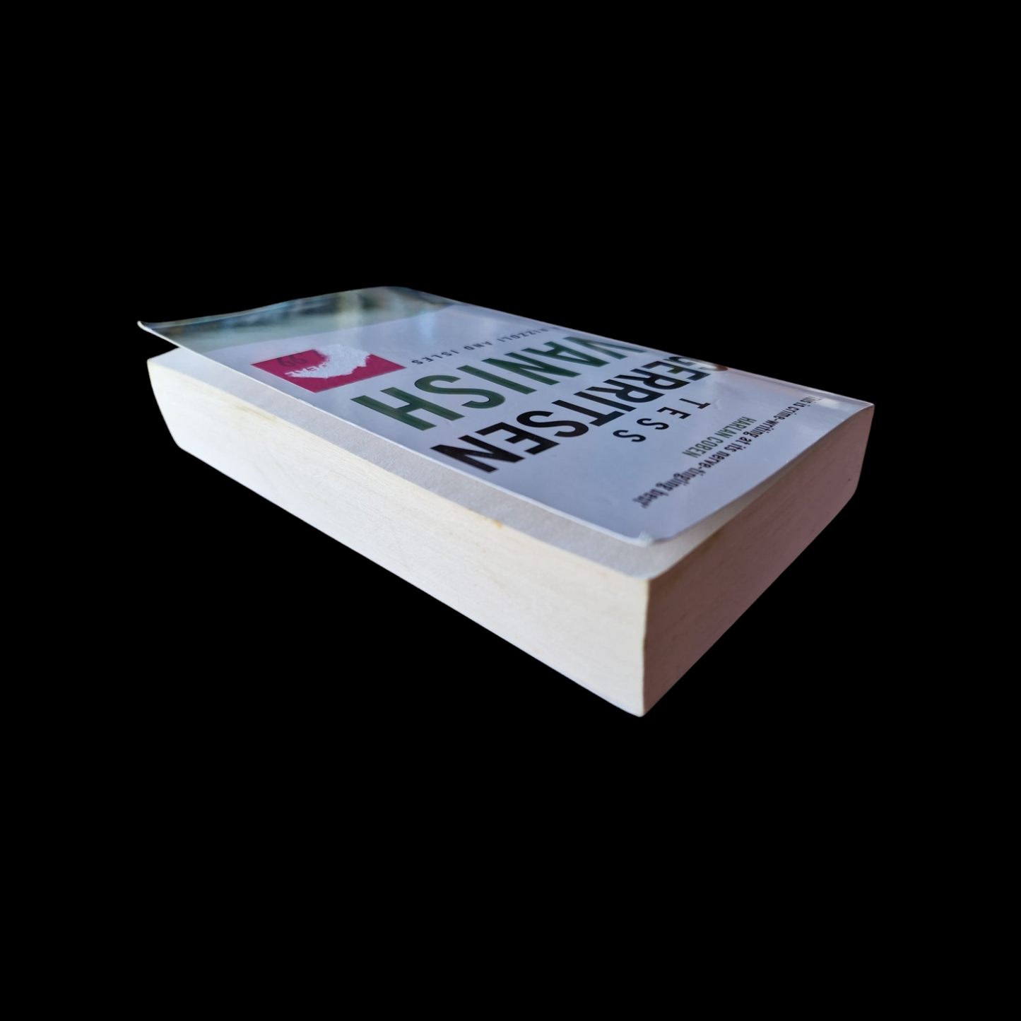 Tess Gerritsen- Vanish image 5