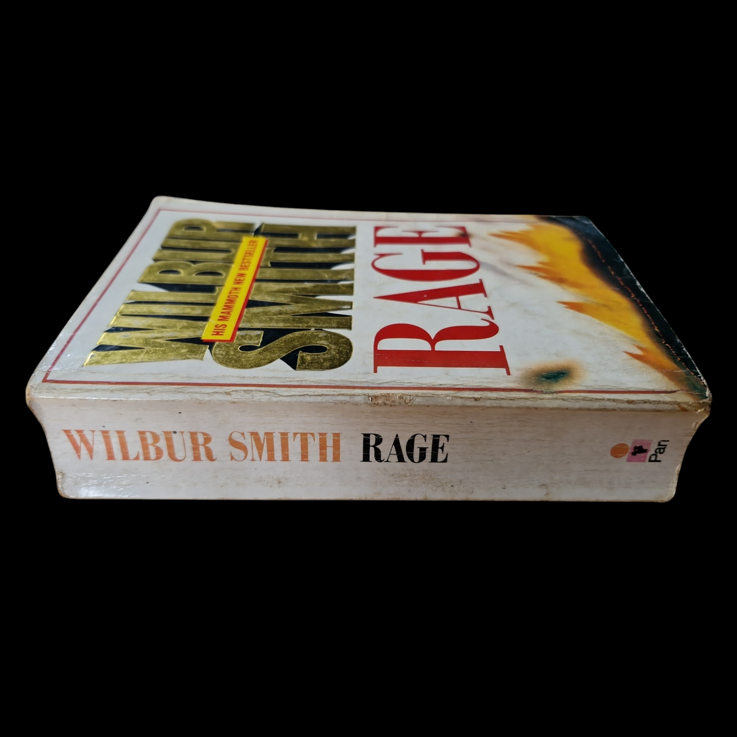Wilbur Smith- Rage image 3
