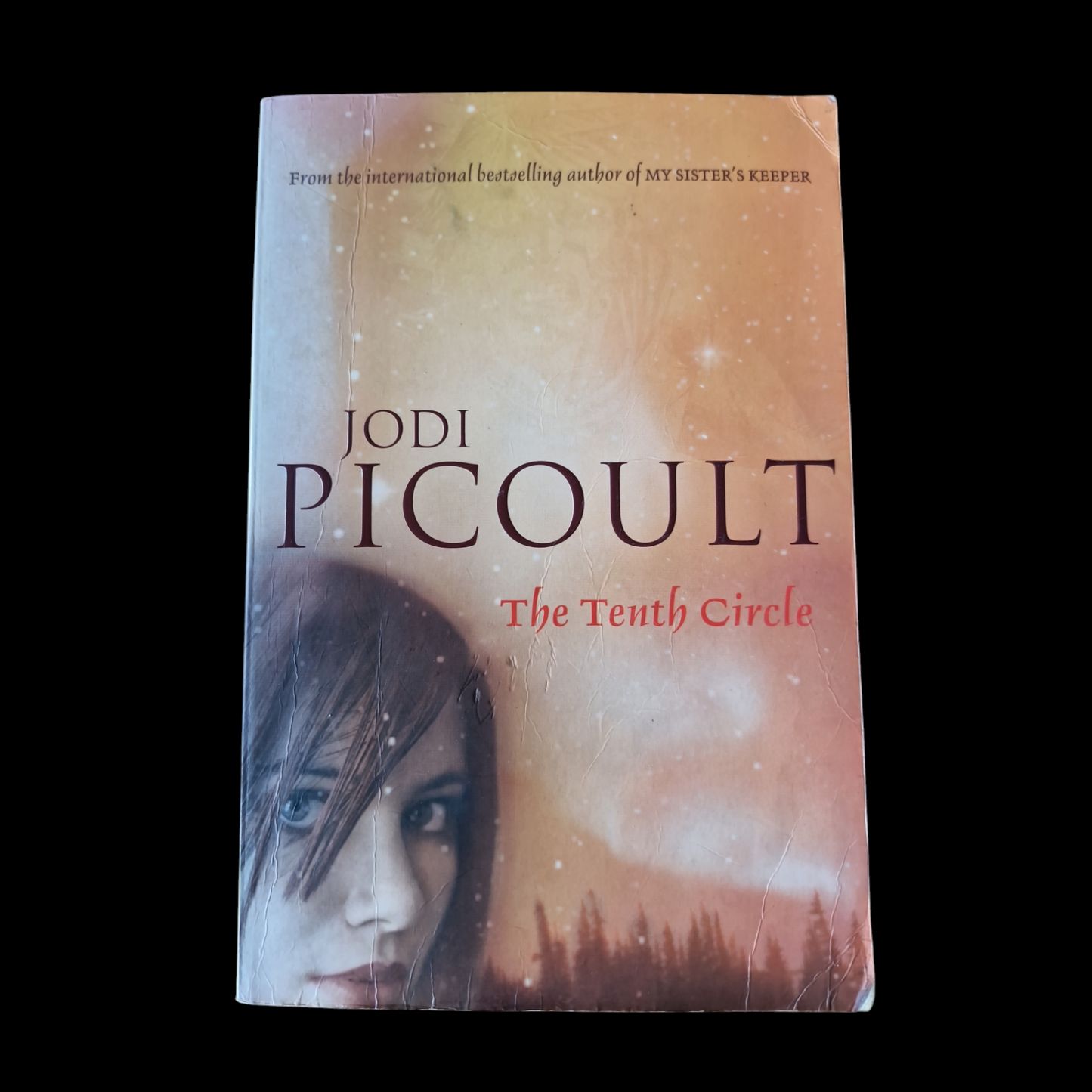 Jodi Picoult- The Tenth Circle image 1