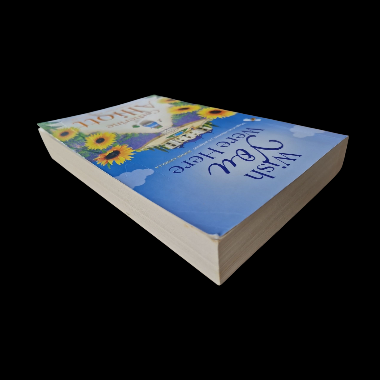 Catherine Alliott- Wish You Were Here