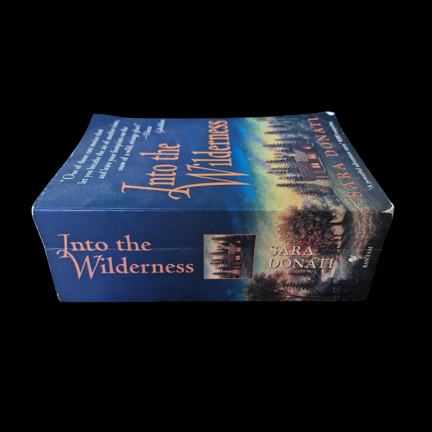 Sara Donati - Into The Wilderness