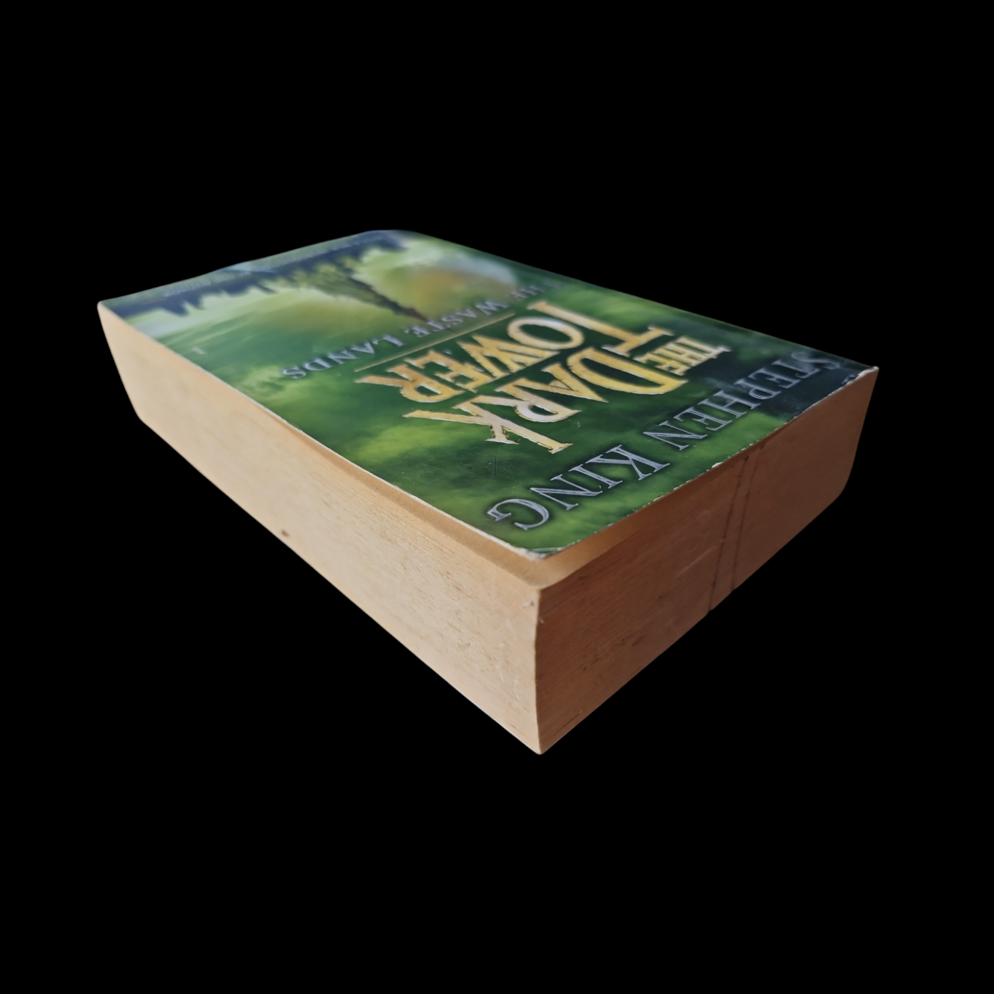 Stephen King- The Dark Tower - The Waste Lands image 5