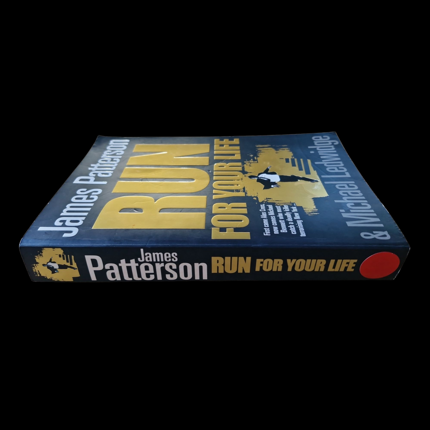 James Patterson- Run For Your Life image 3