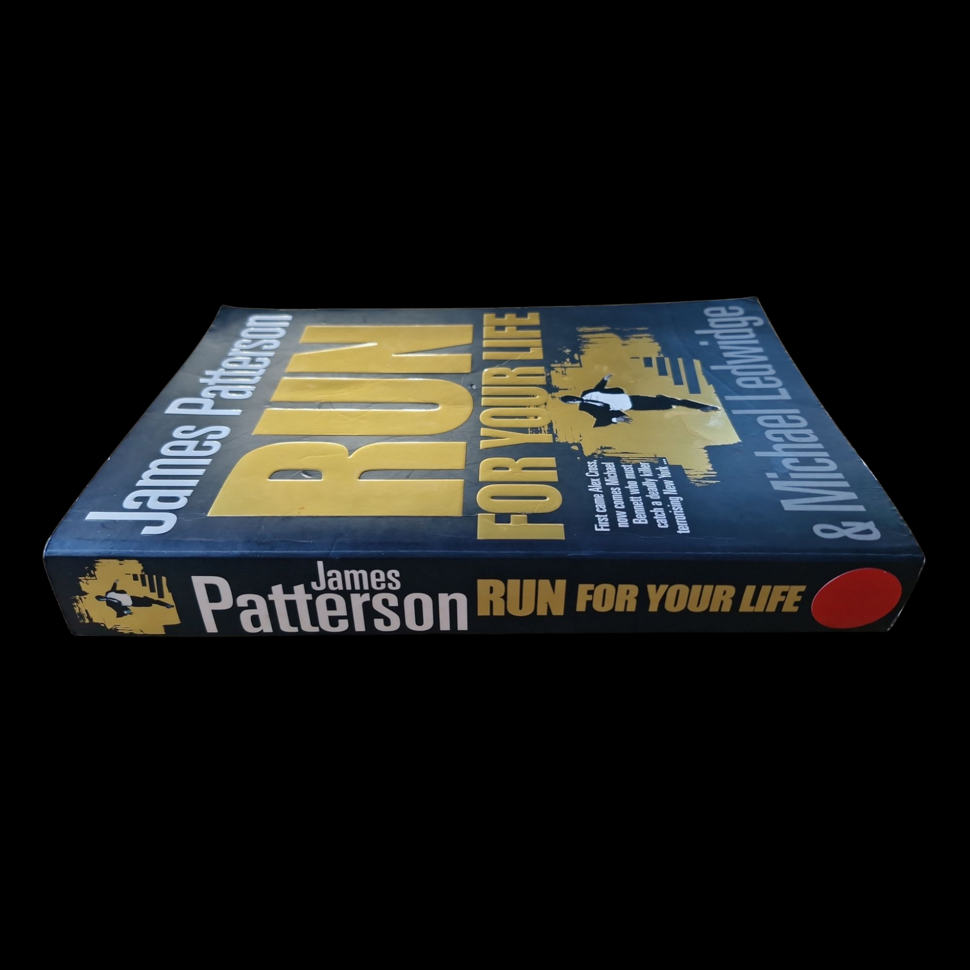 James Patterson- Run For Your Life image 3