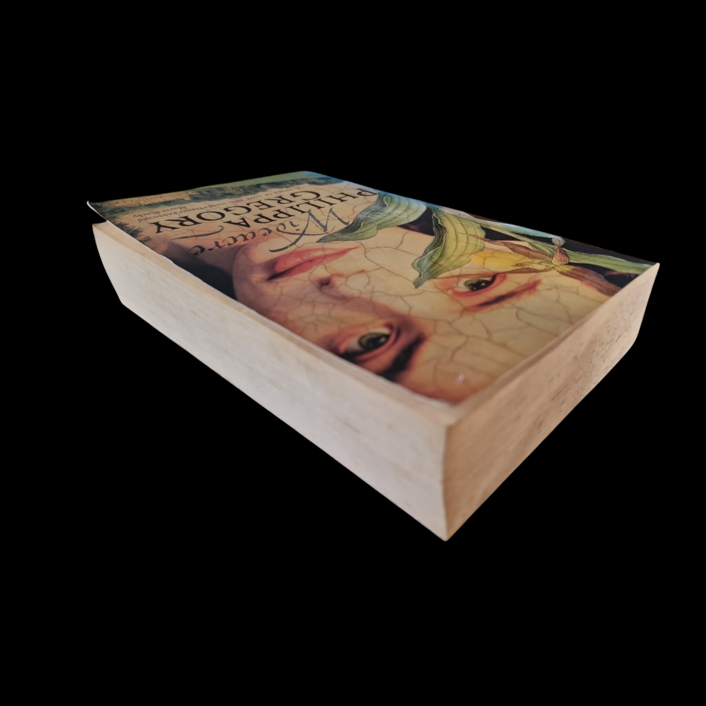 Philippa Gregory- Wideacre image 5