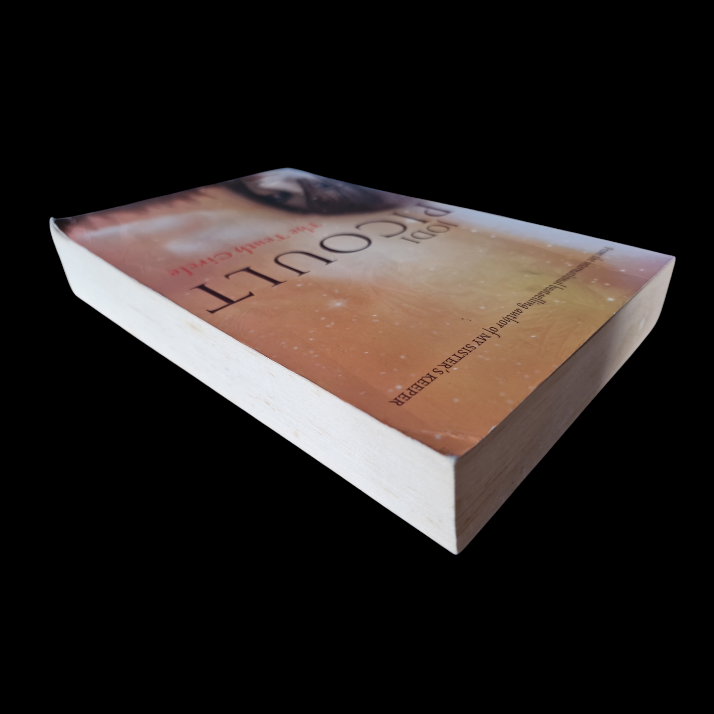 Jodi Picoult- The Tenth Circle image 5