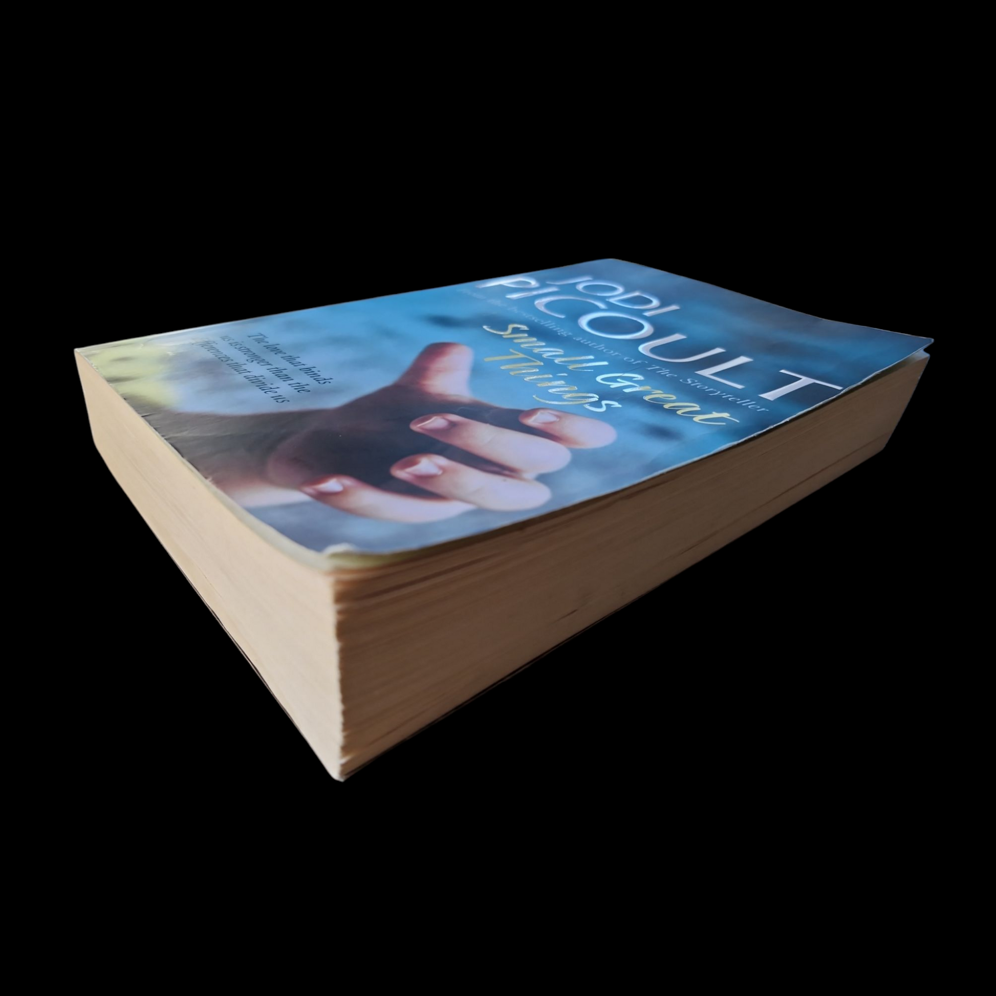 Jodi Picoult- Small Great Things image 4