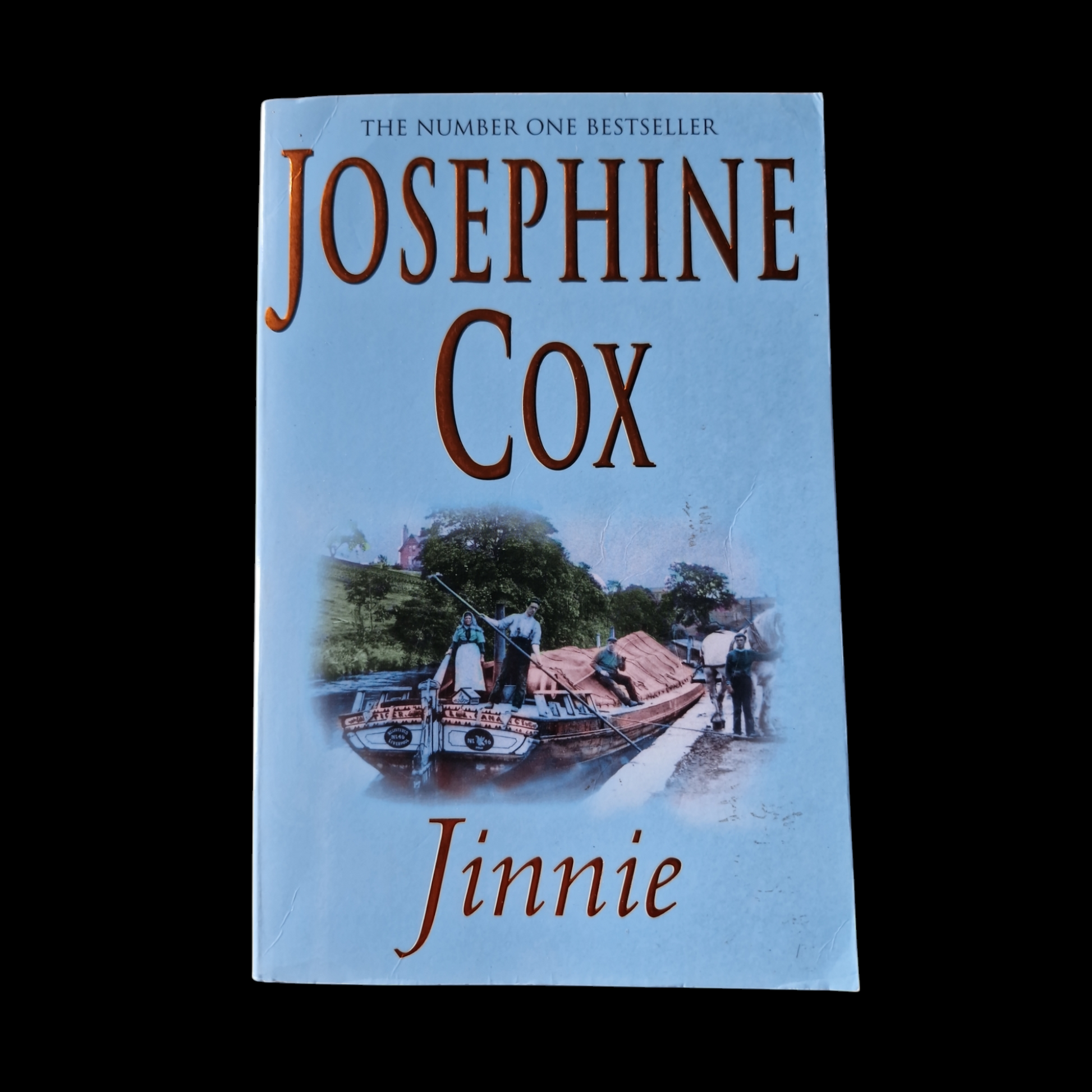 Josephine Cox- Jinnie image 1