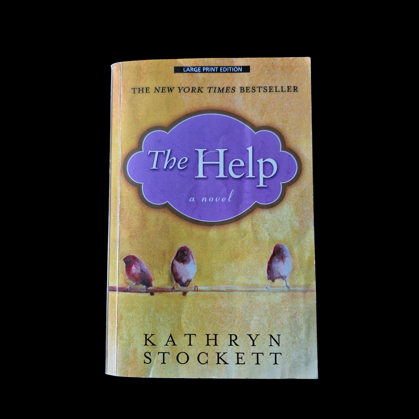 Kathryn Stockett- The Help image 1