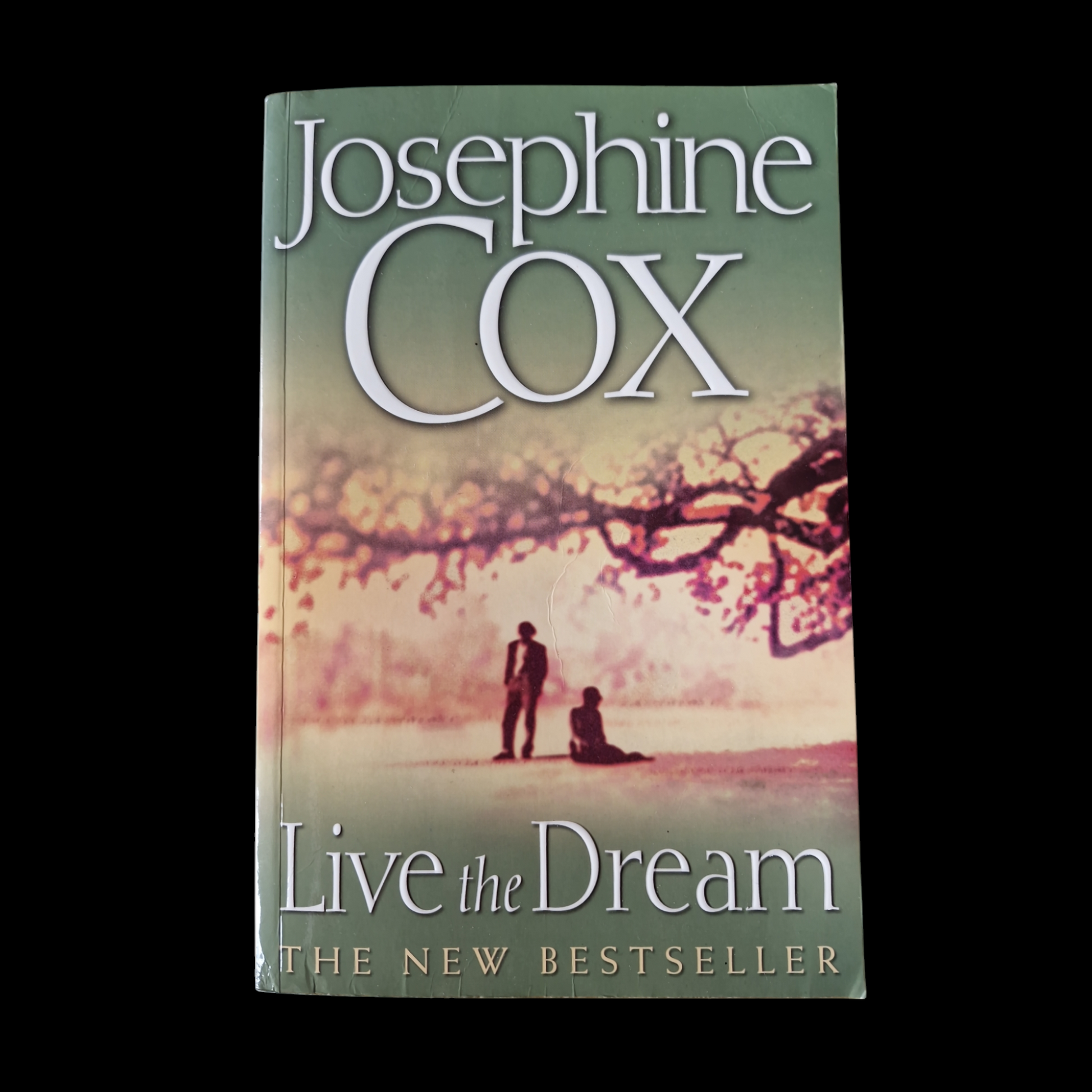 Josephine Cox- Live The Dream image 1