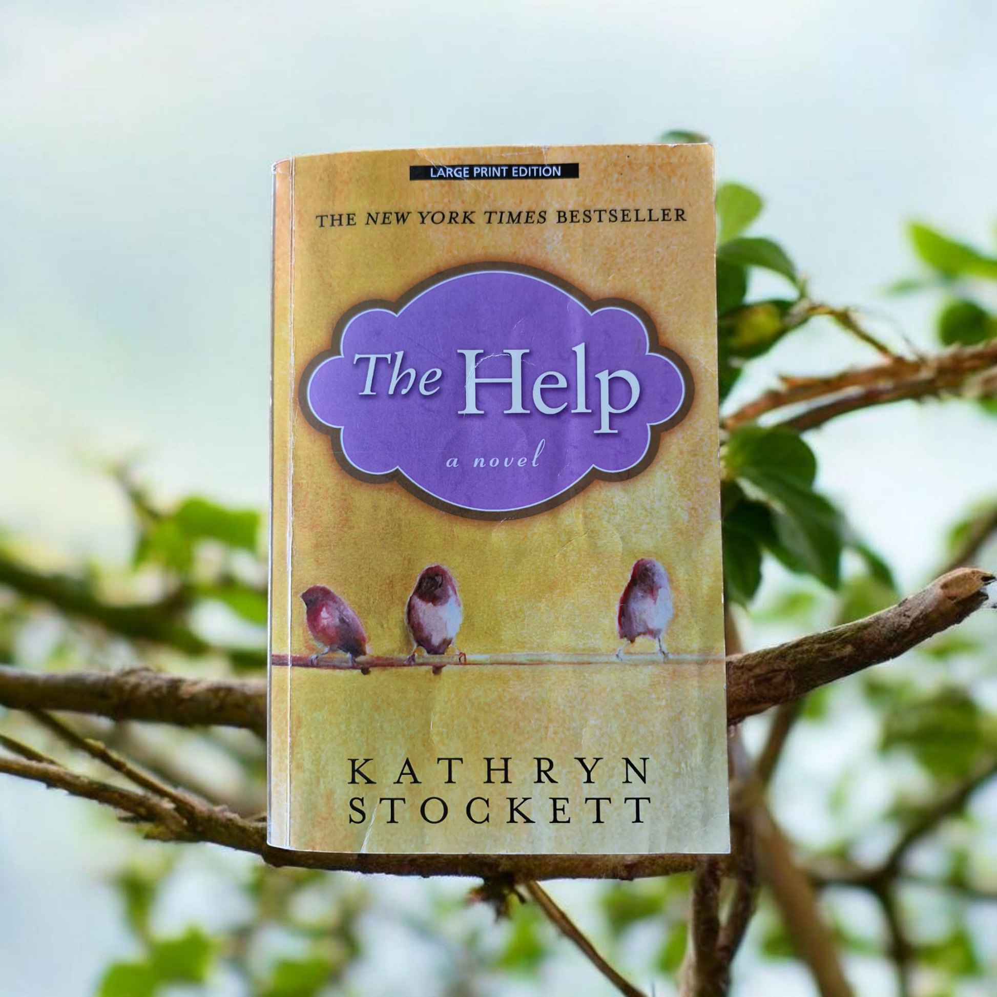 Kathryn Stockett- The Help image 0