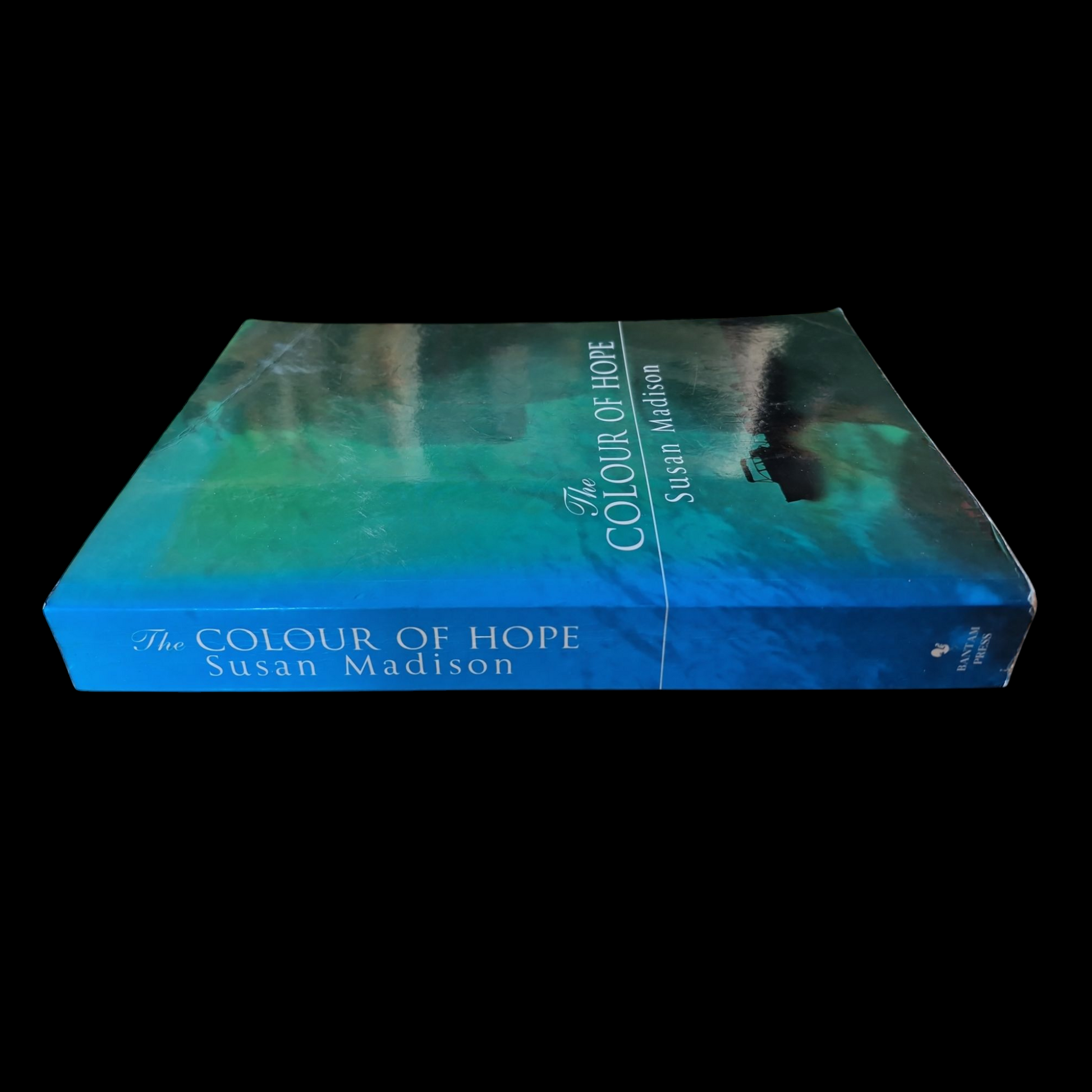 Susan Madison- The Colour Of Hope image 3
