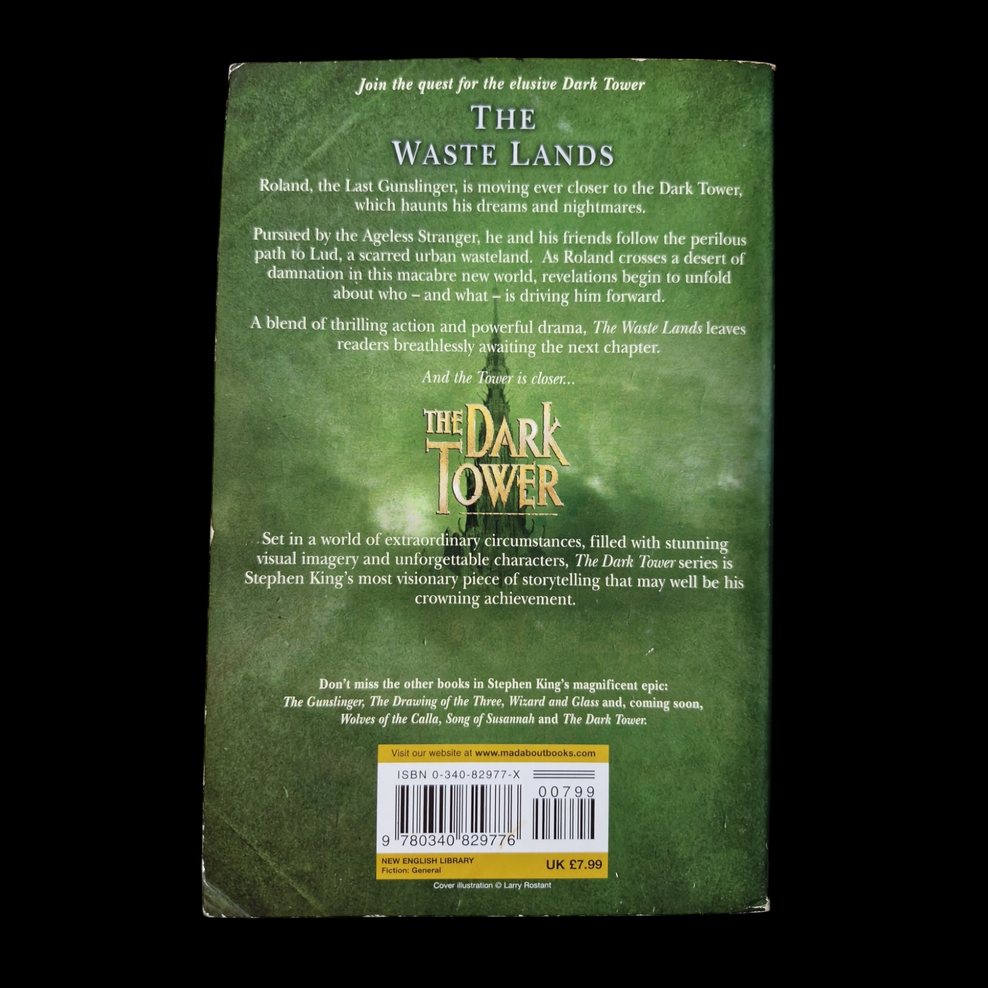 Stephen King- The Dark Tower - The Waste Lands image 2