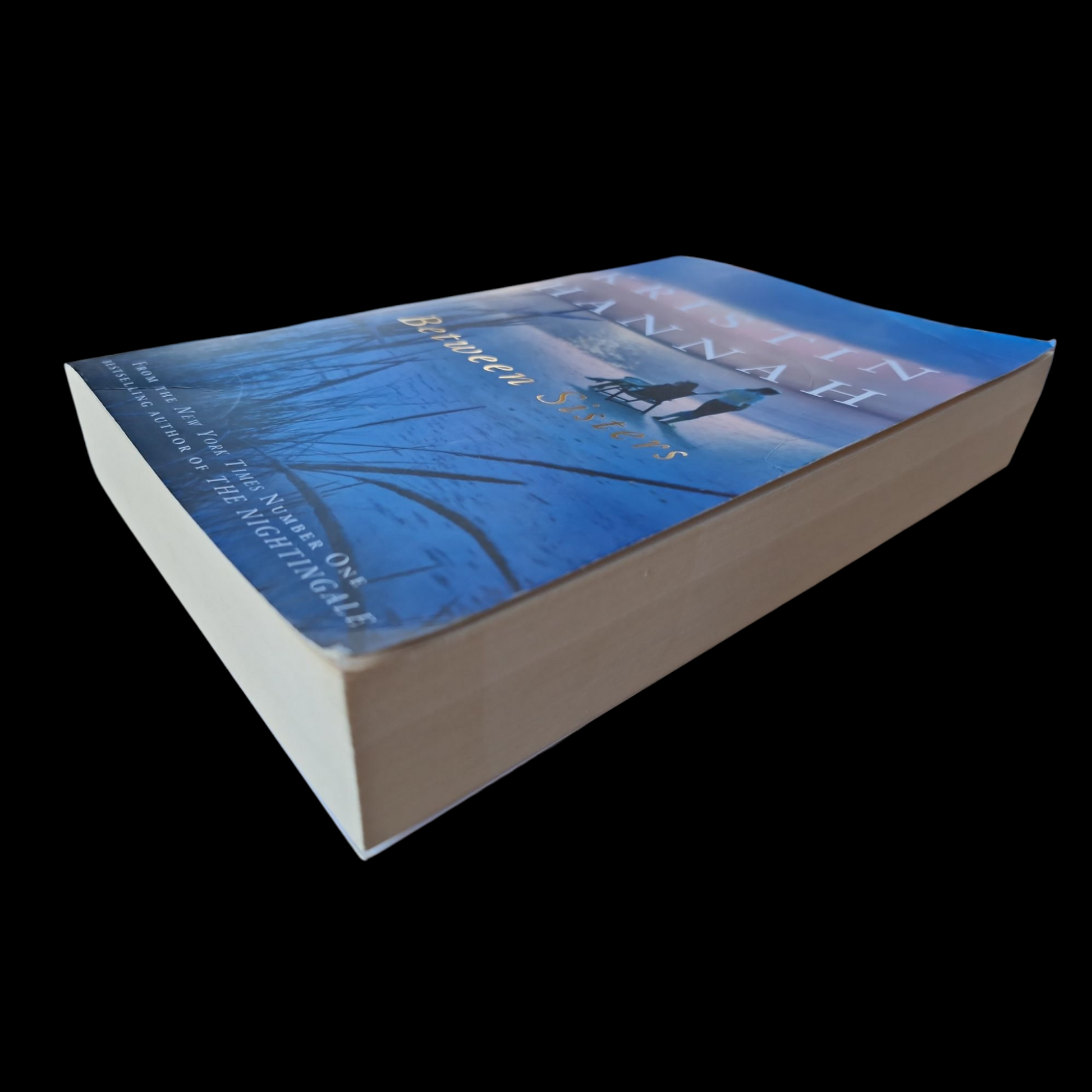Kristin Hannah- Between Sisters image 4