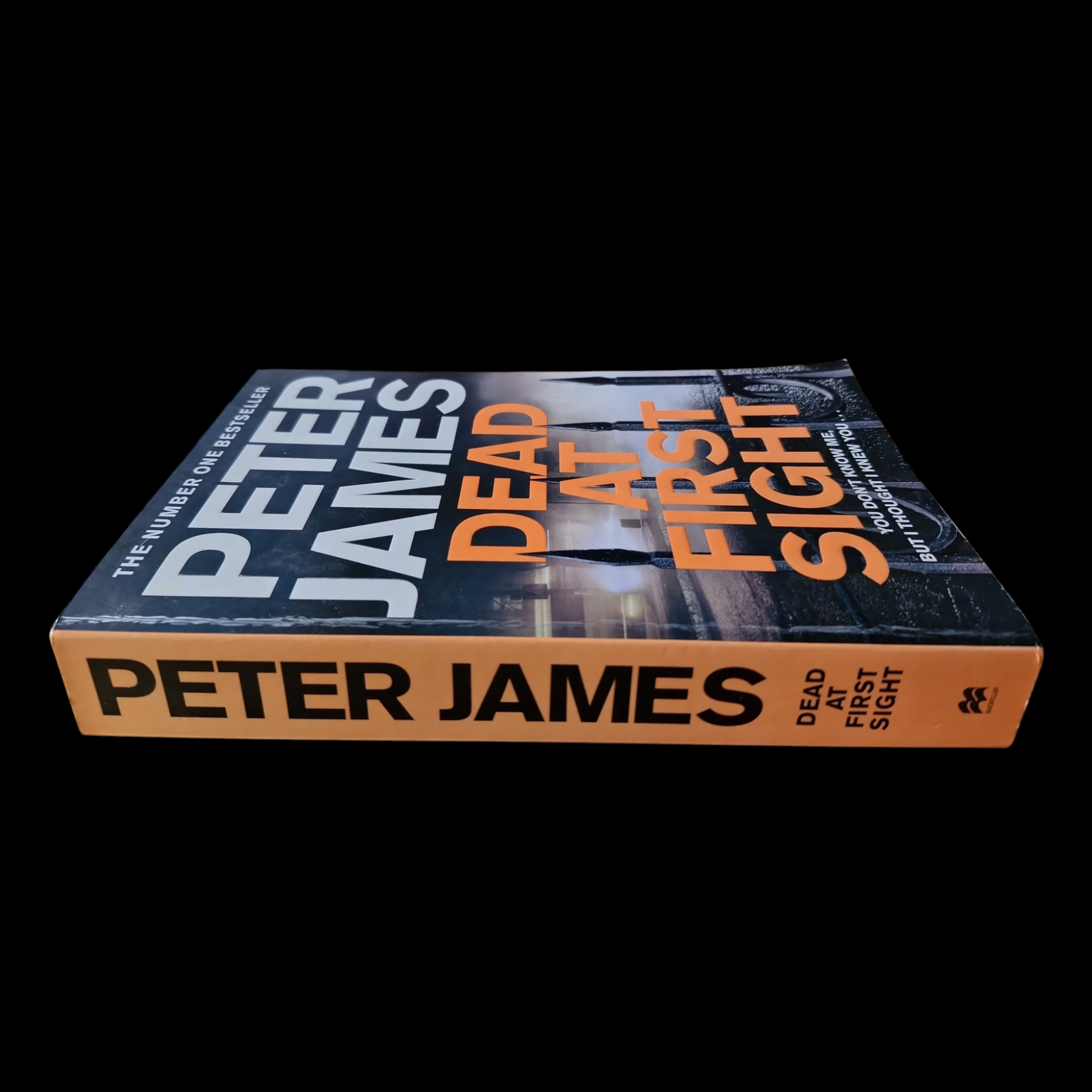 Peter James- Dead At First Sight image 3