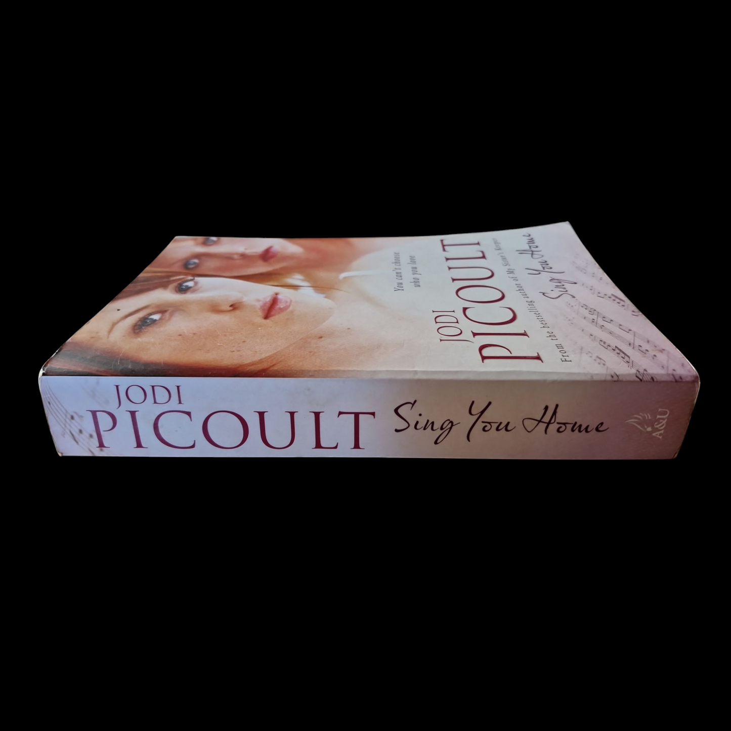 Jodi Picoult- Sing You Home image 3