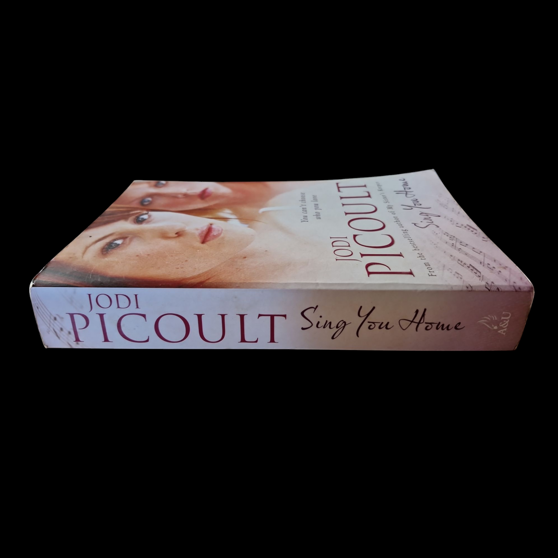 Jodi Picoult- Sing You Home image 3