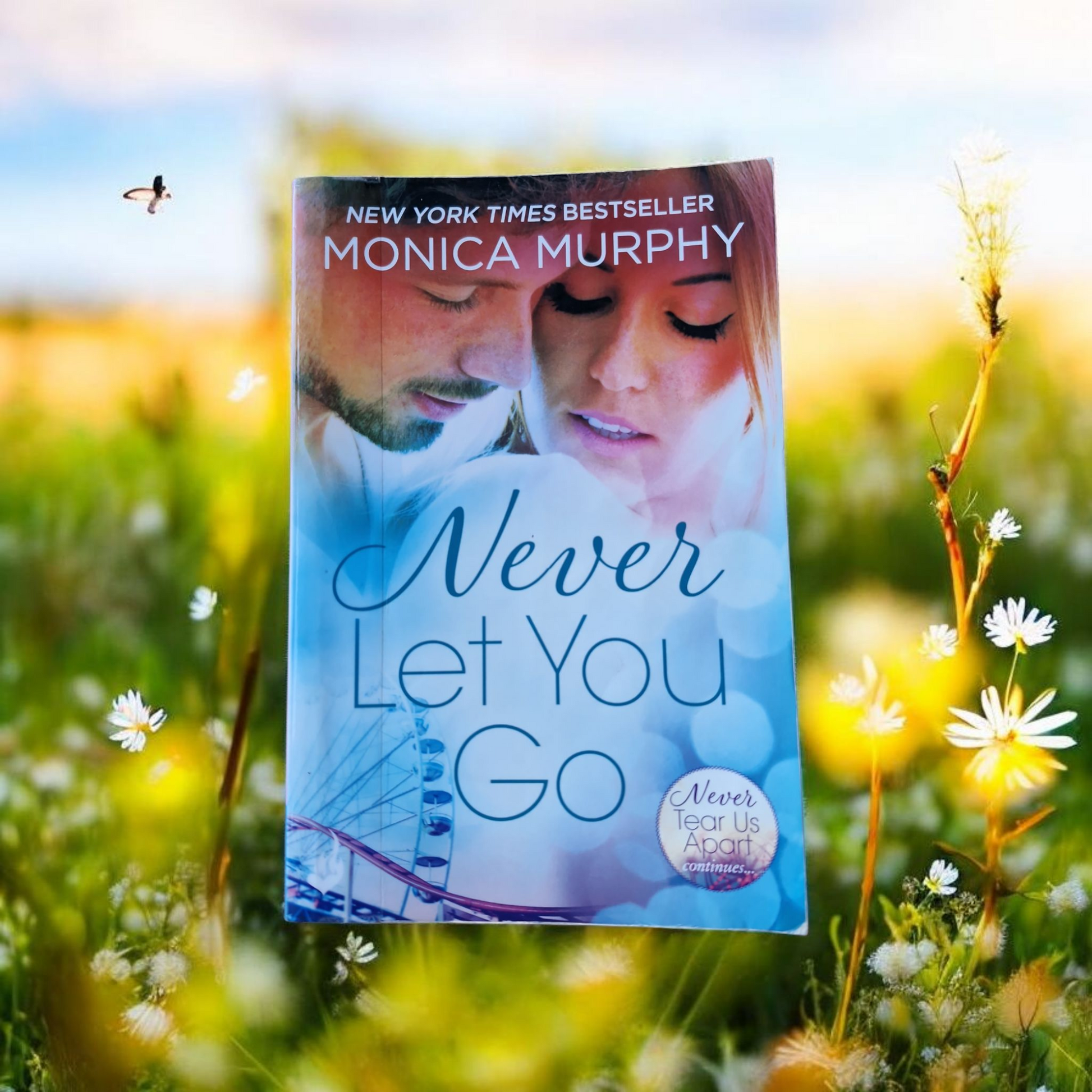 Monica Murphy- Never Let You Go image 0