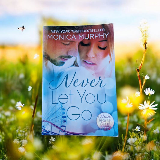 Monica Murphy- Never Let You Go image 0