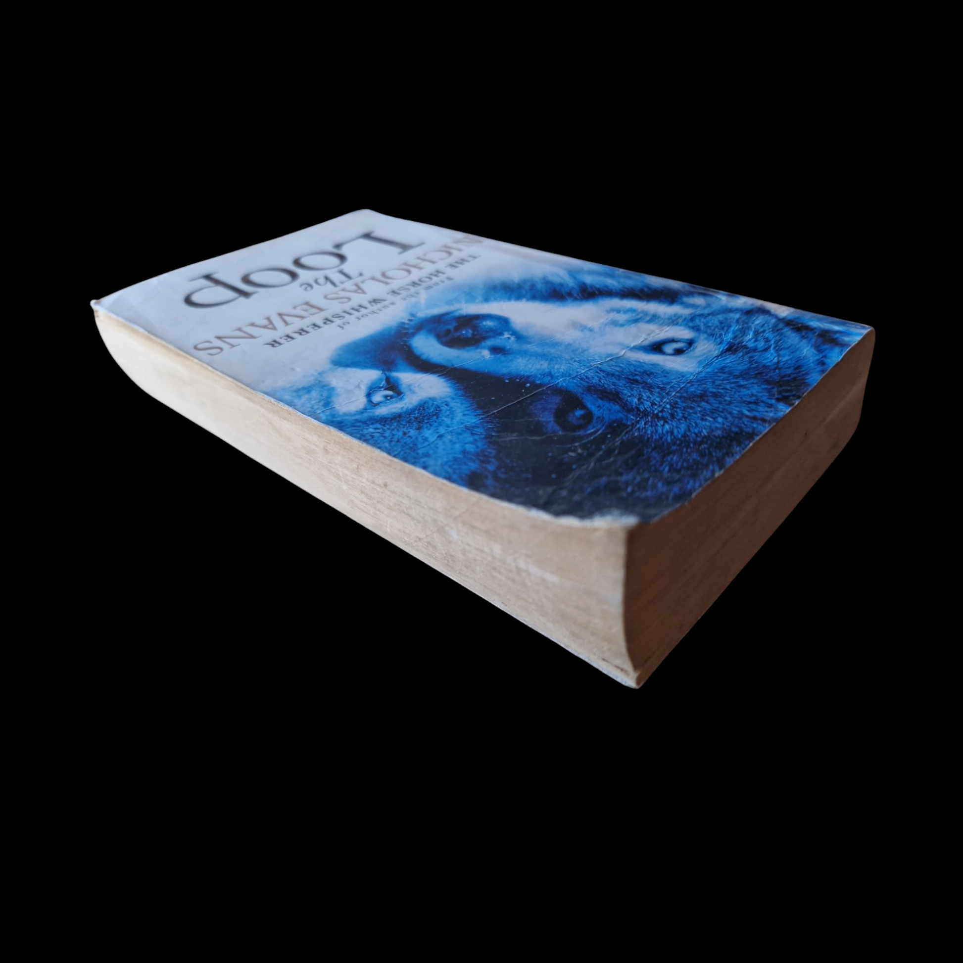 Nicholas Evans- The Loop image 5