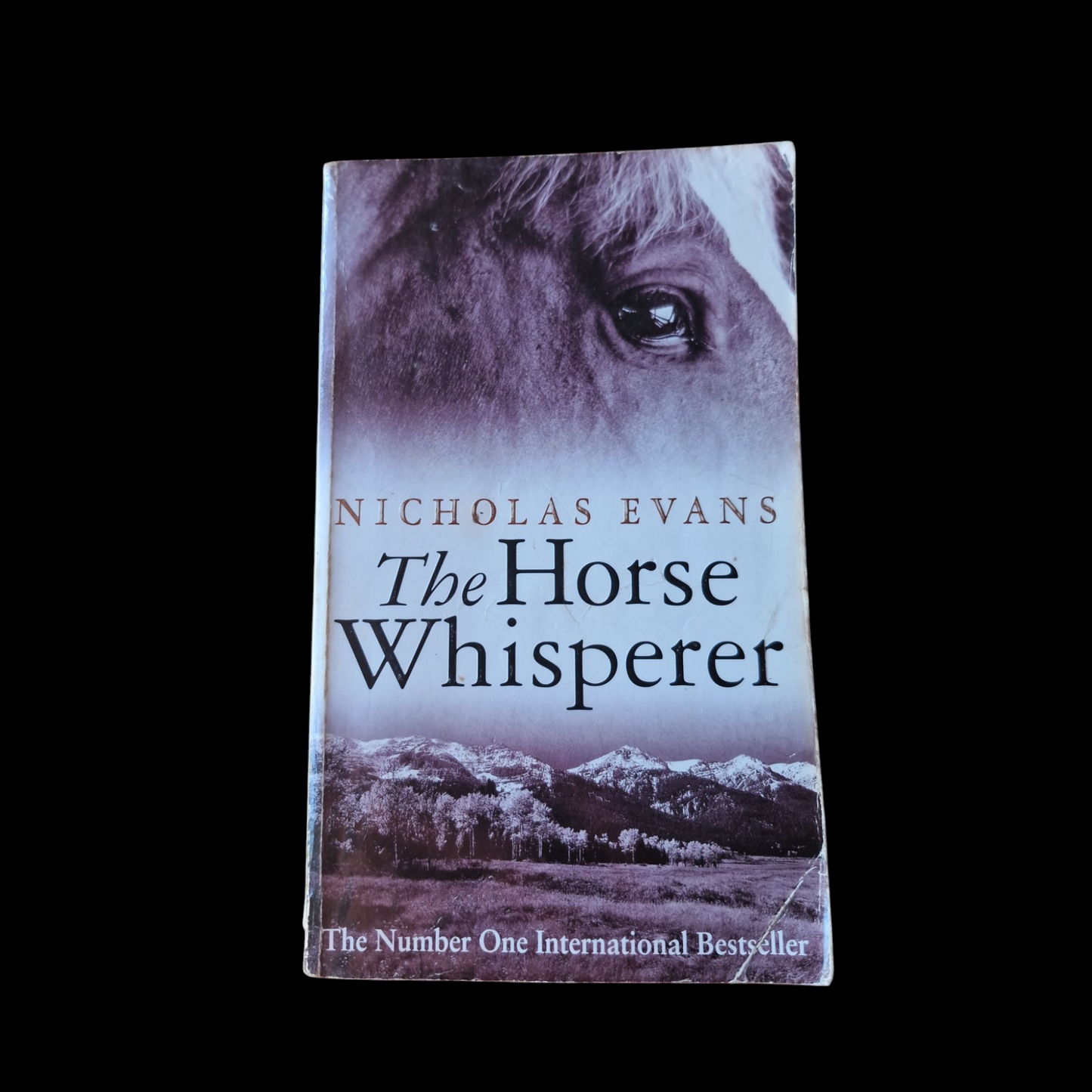 Nicholas Evans- The Horse Whisperer image 1