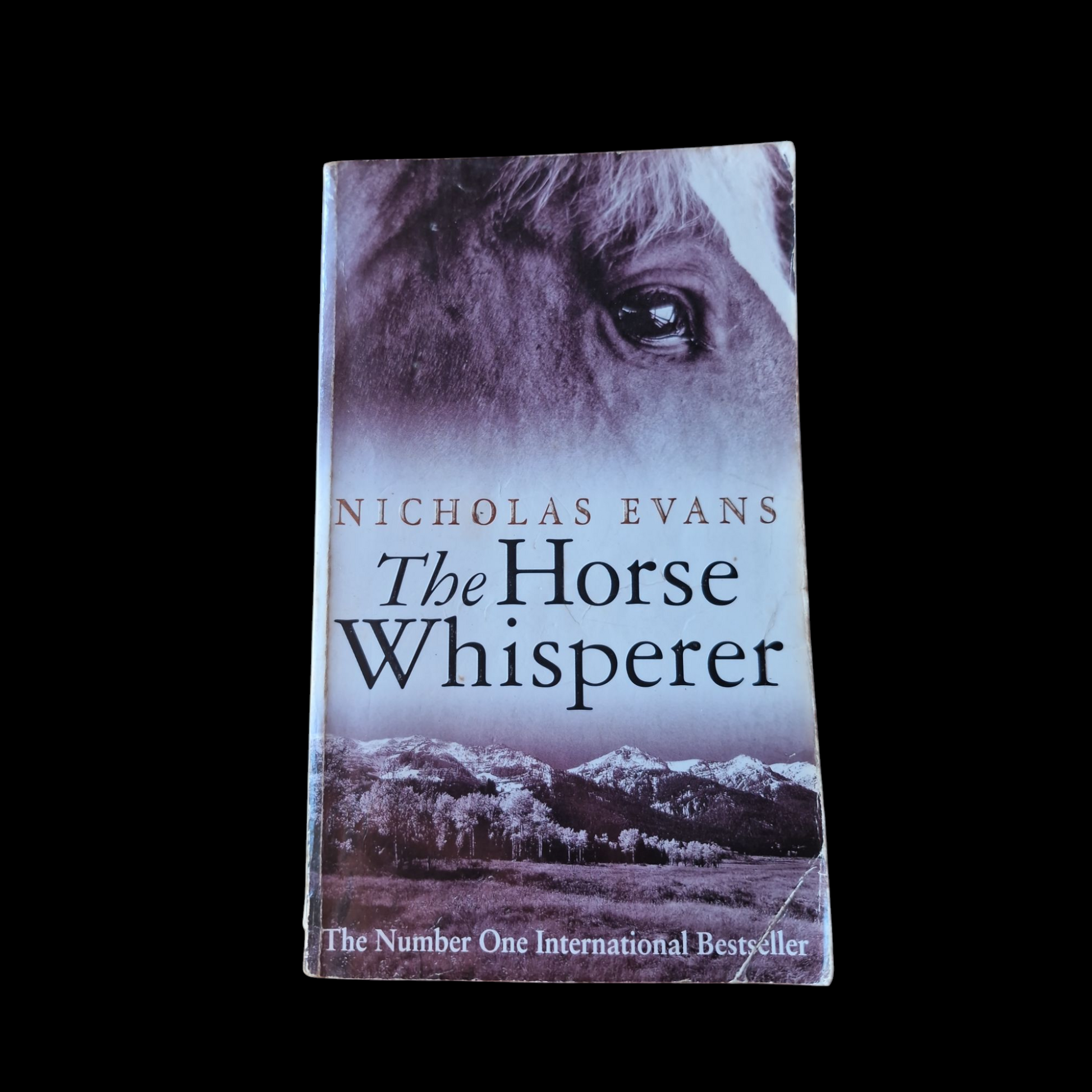 Nicholas Evans- The Horse Whisperer image 1