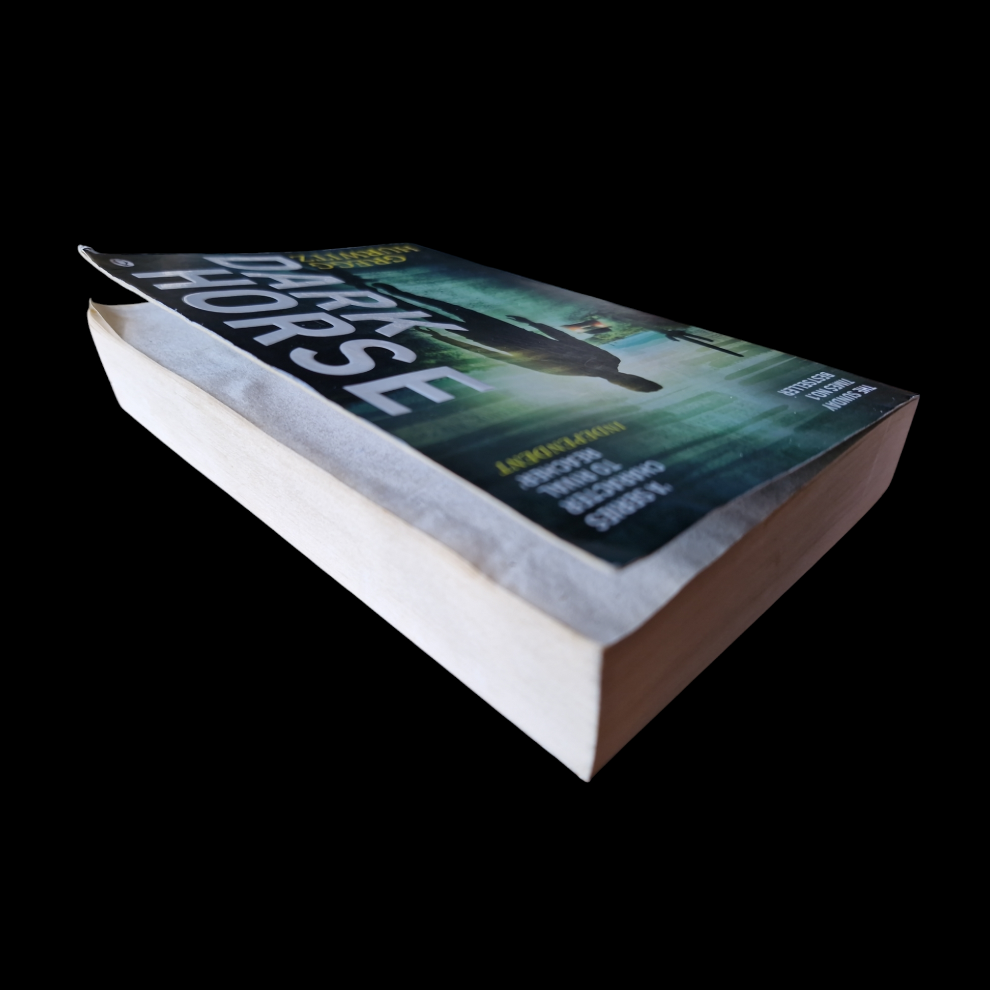 Gregg Hurwitz- Dark Horse image 5