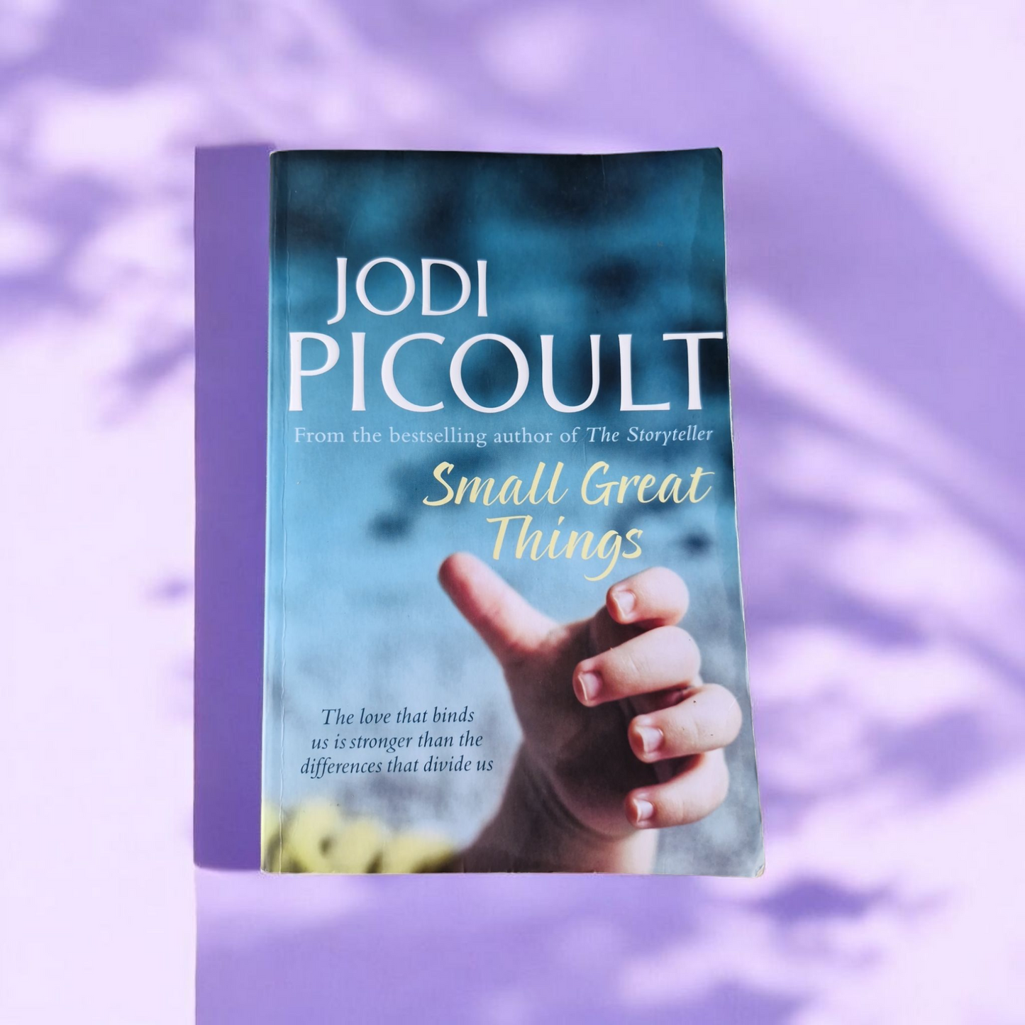 Jodi Picoult- Small Great Things image 0