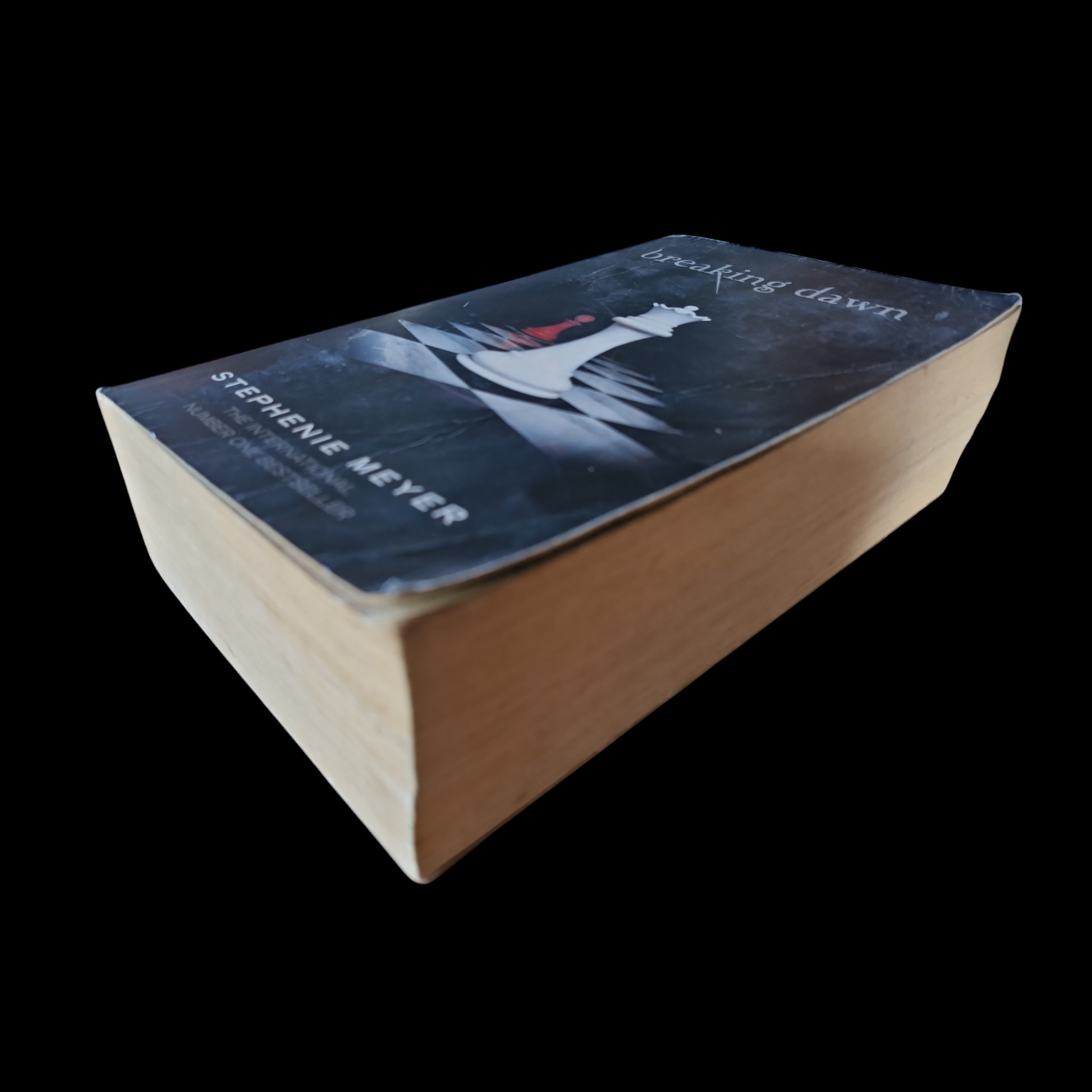 Stephanie Meyer- Breaking Dawn image 4