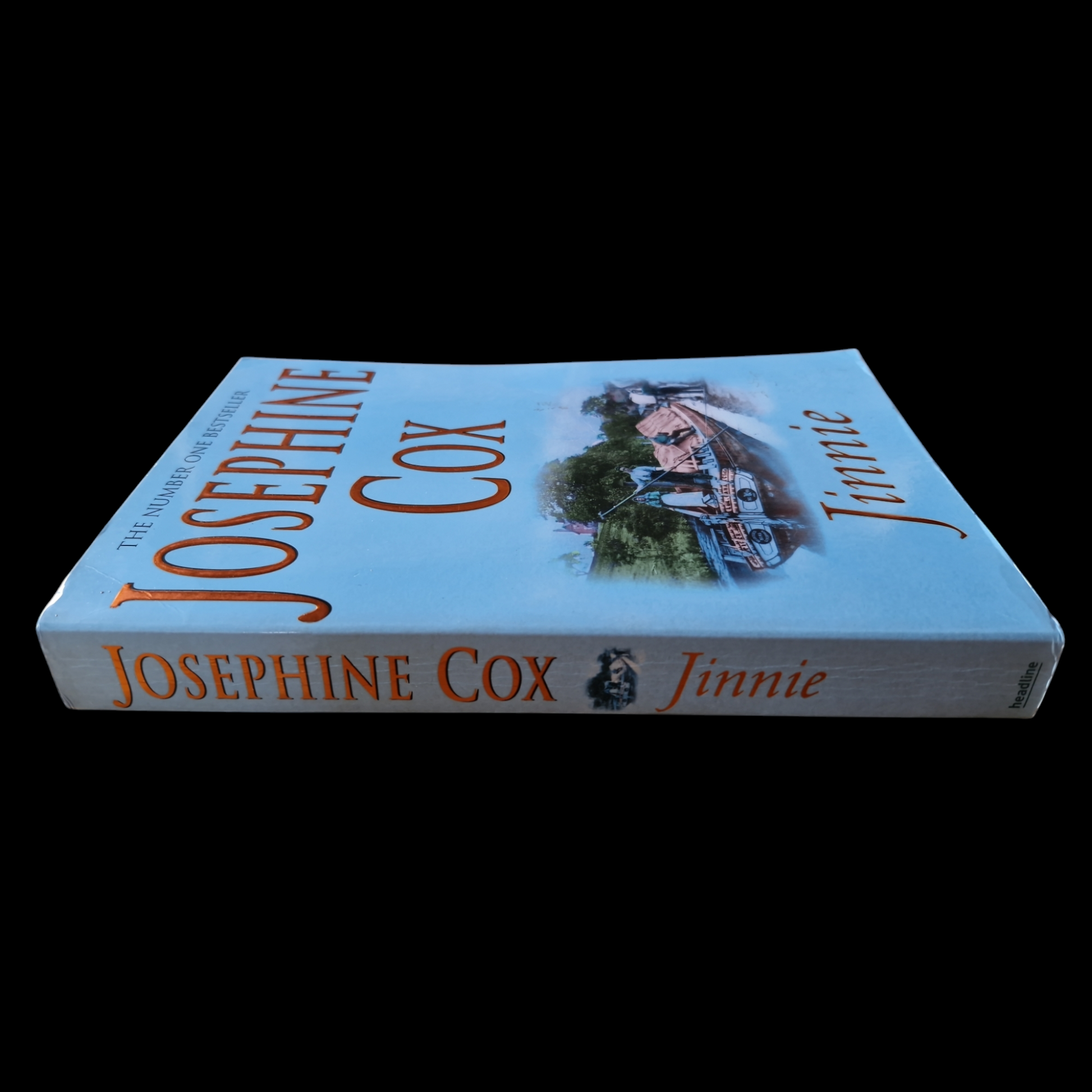 Josephine Cox- Jinnie image 3