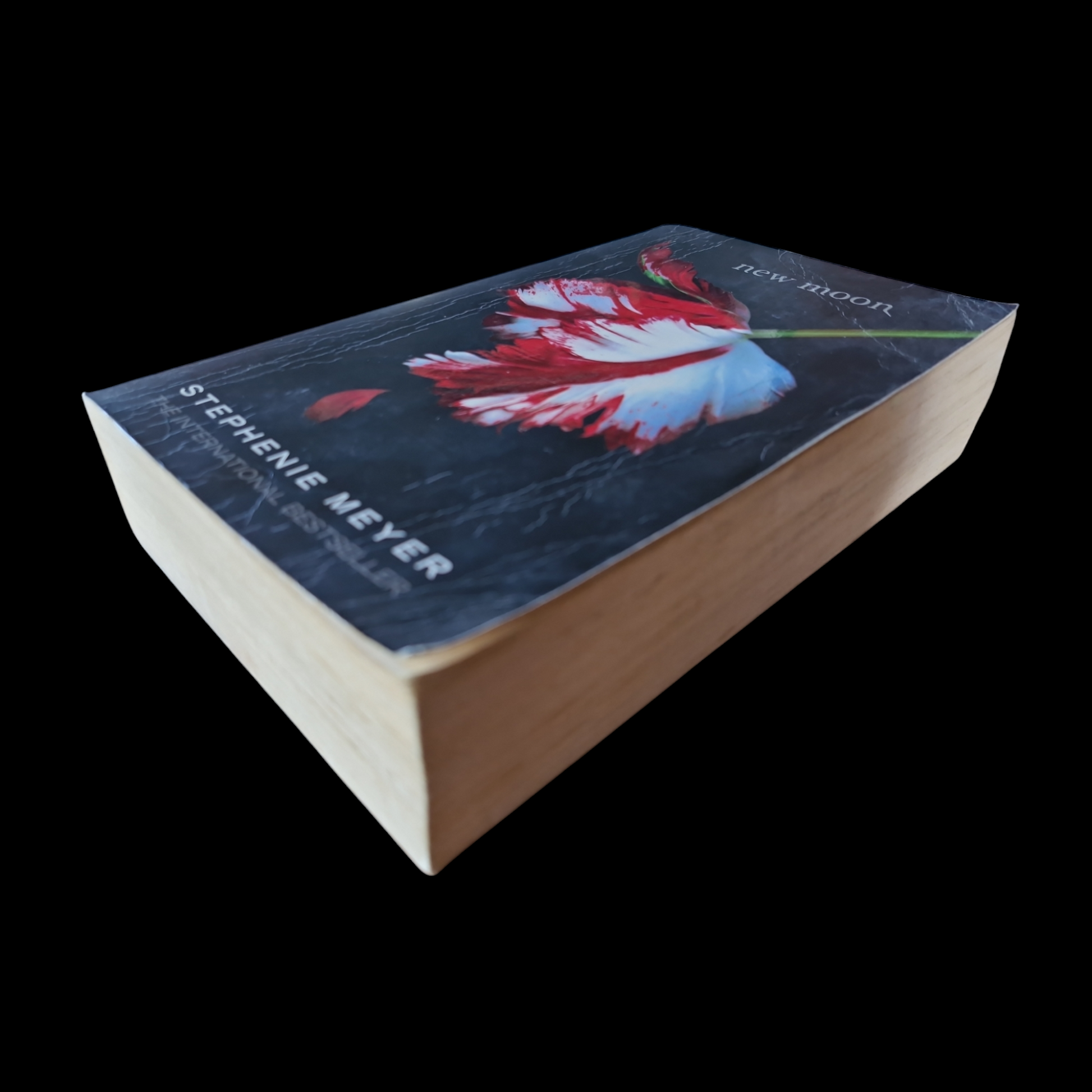 Stephanie Meyer- New Moon image 4