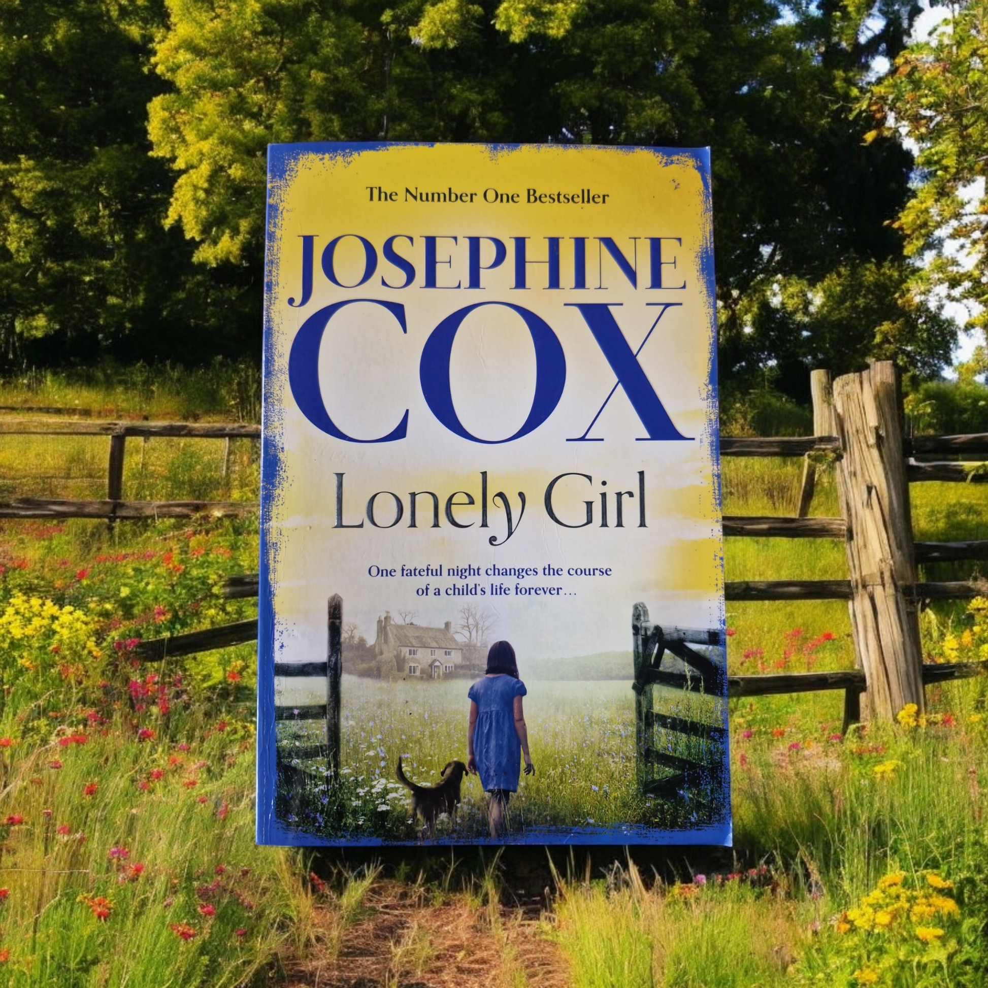 Josephine Cox- Lonely Girl image 0
