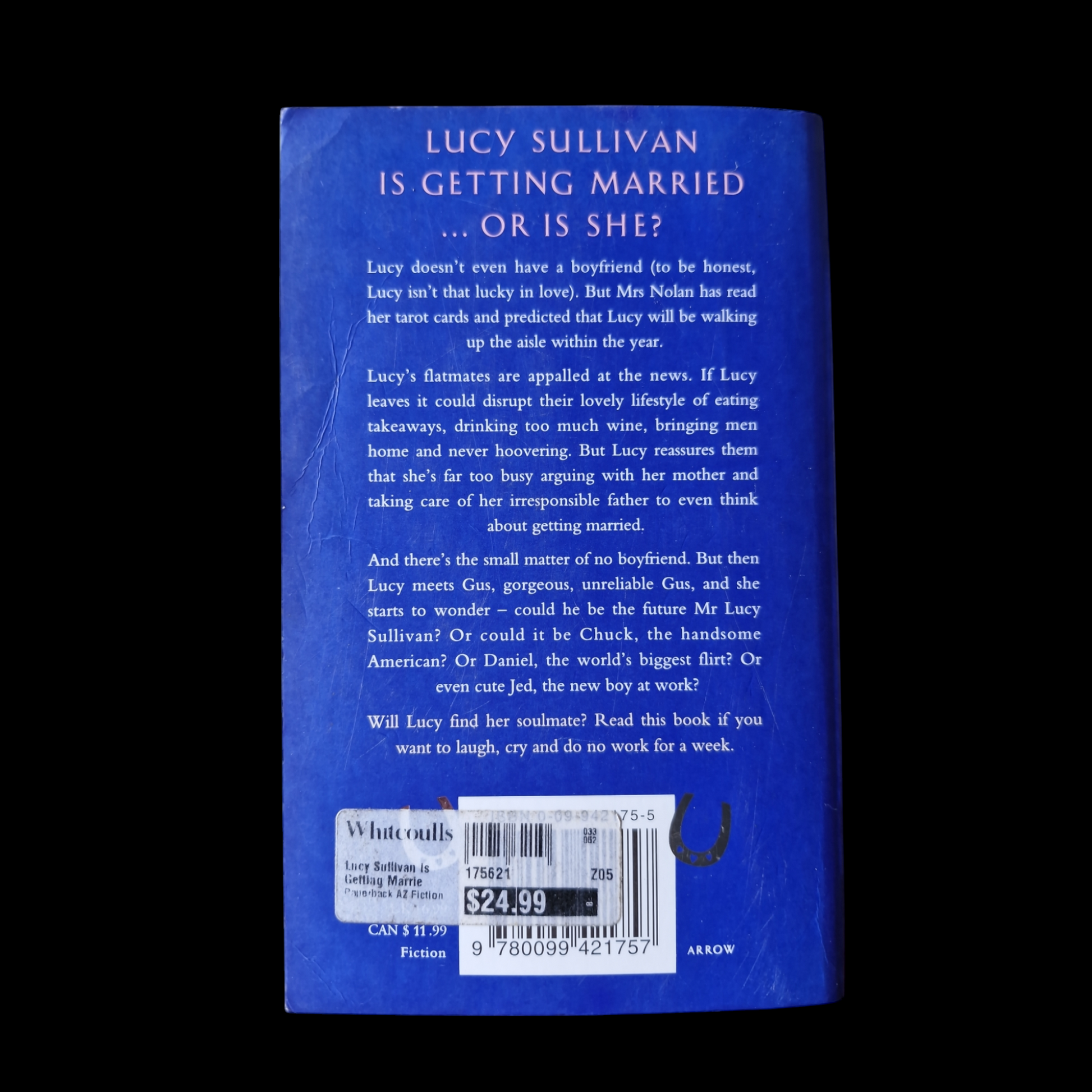 Marian Keyes- Lucy Sullivan Is Getting Married  image 2