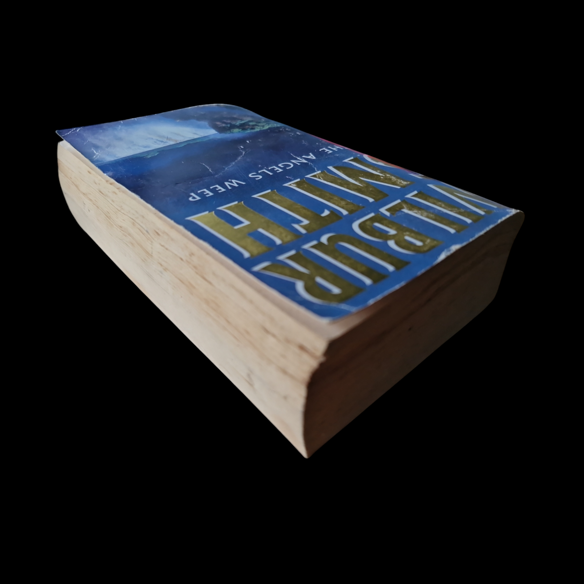 Wilbur Smith- The Angels Weep image 5