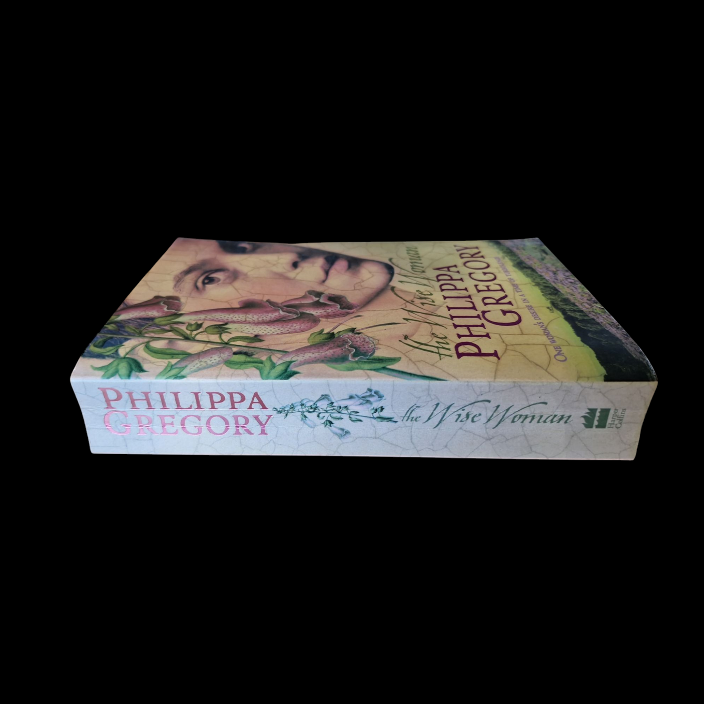 Philippa Gregory- The Wise Woman image 3