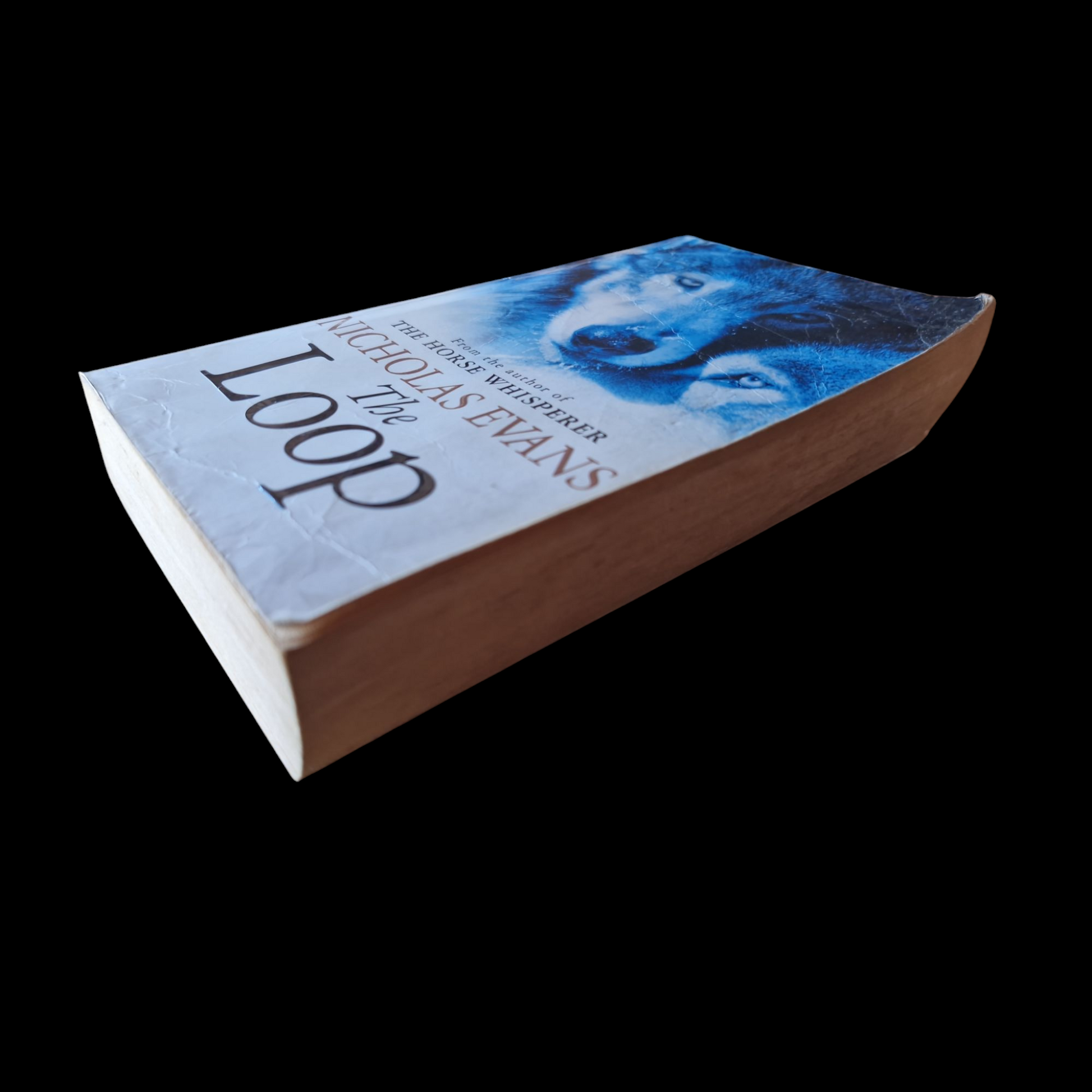 Nicholas Evans- The Loop image 4