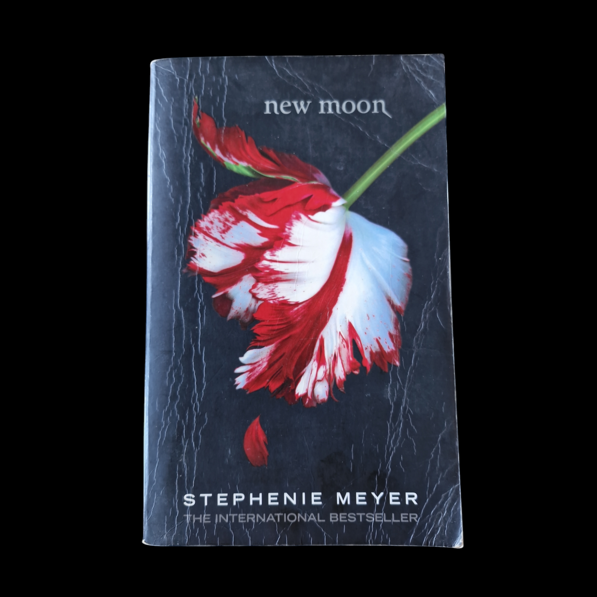 Stephanie Meyer- New Moon image 1