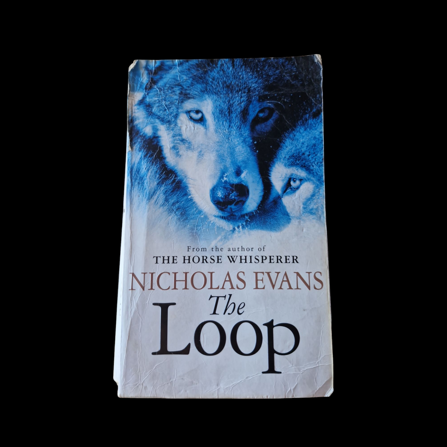 Nicholas Evans- The Loop image 1