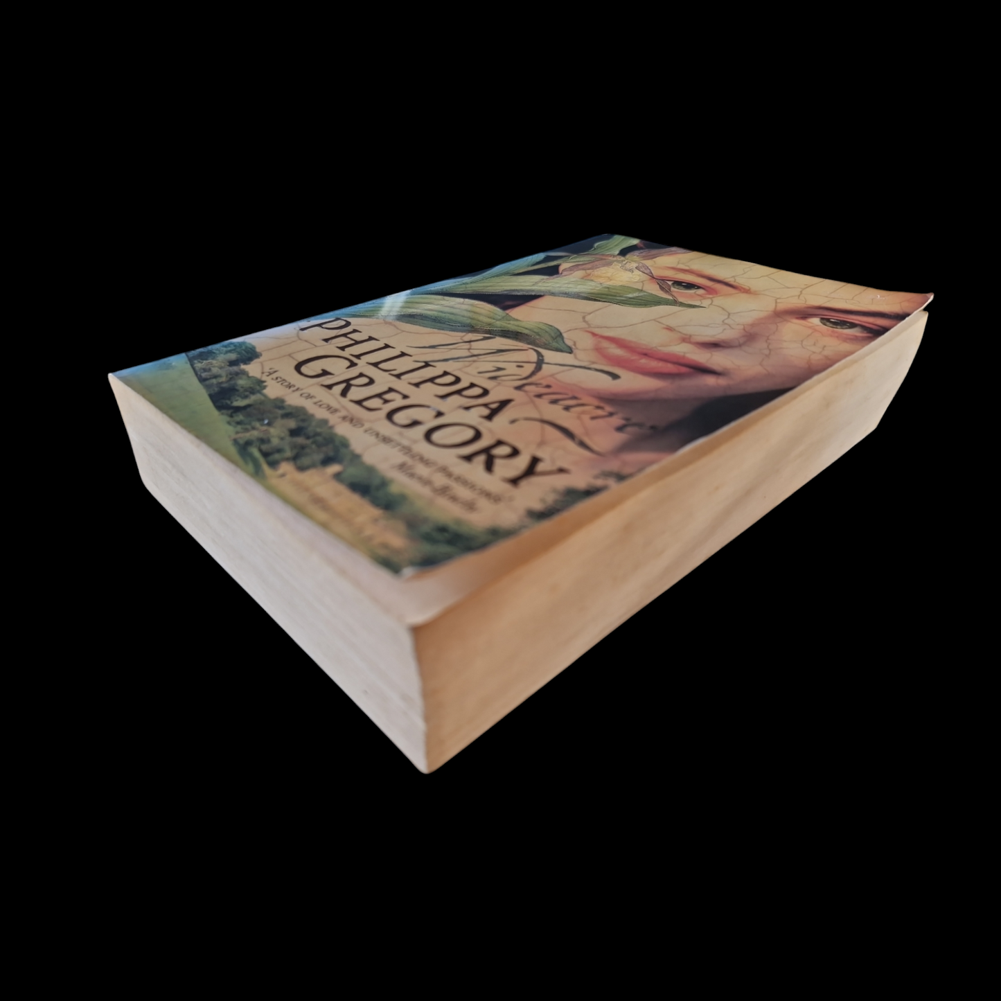 Philippa Gregory- Wideacre image 4