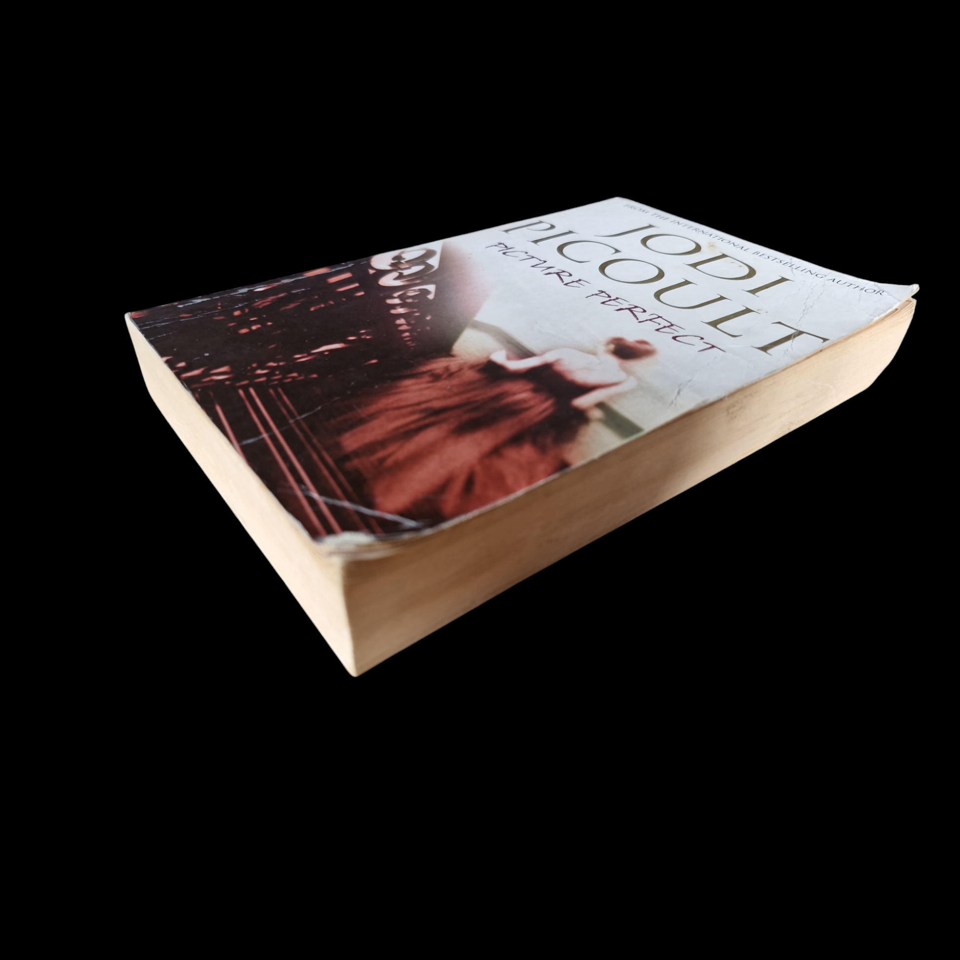 Jodi Picoult- Picture Perfect image 4