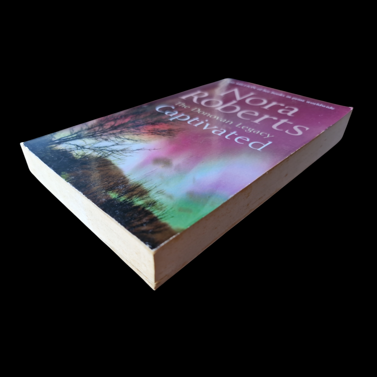 Nora Roberts- The Donovan Legacy - Captivated image 4