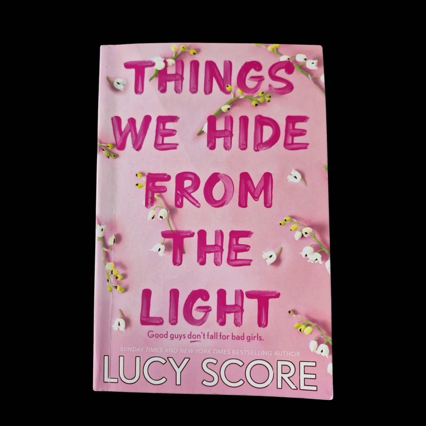 Lucy Score- Things We Hide From The Light image 1