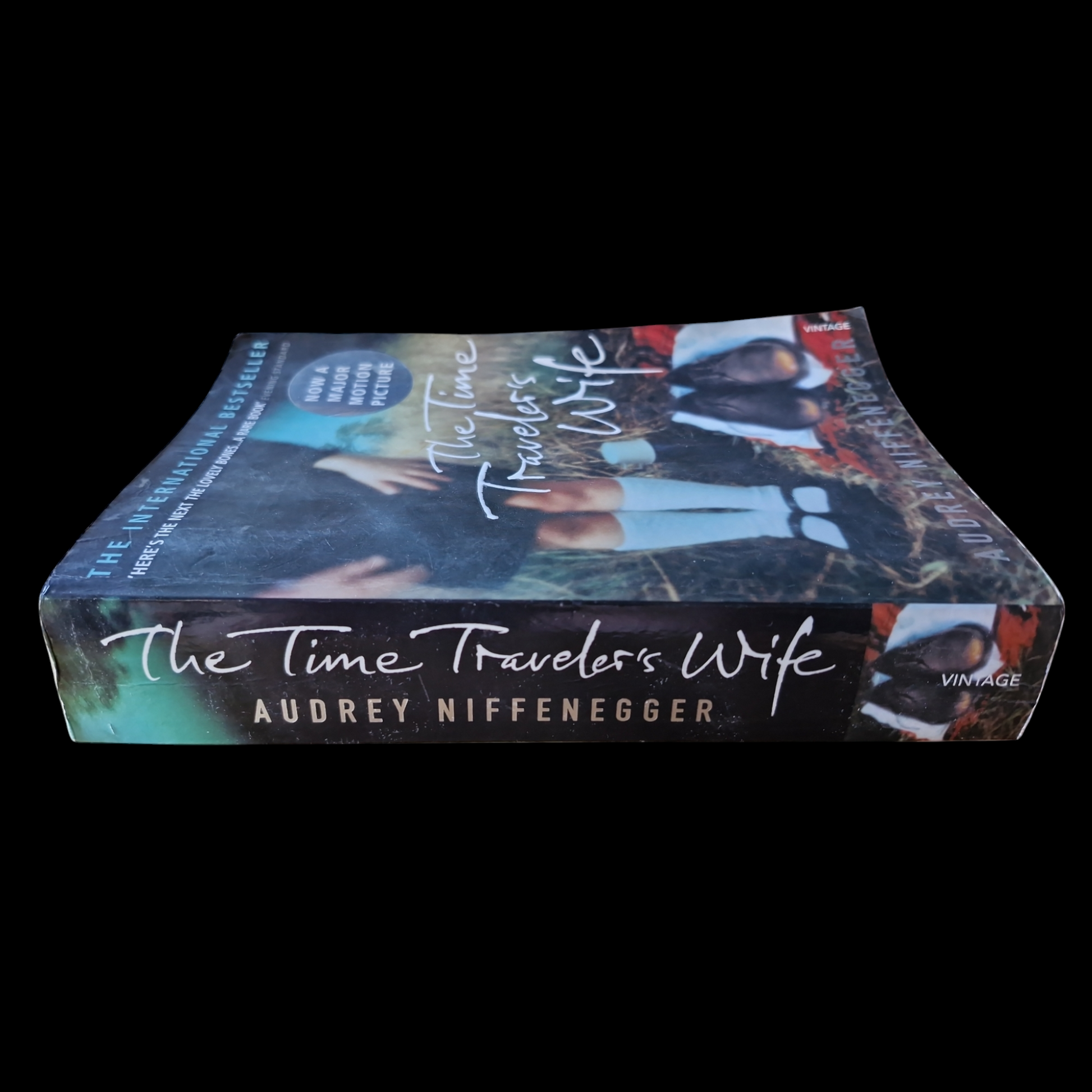 Audrey Niffenegger- The Time Traveler's Wife image 3