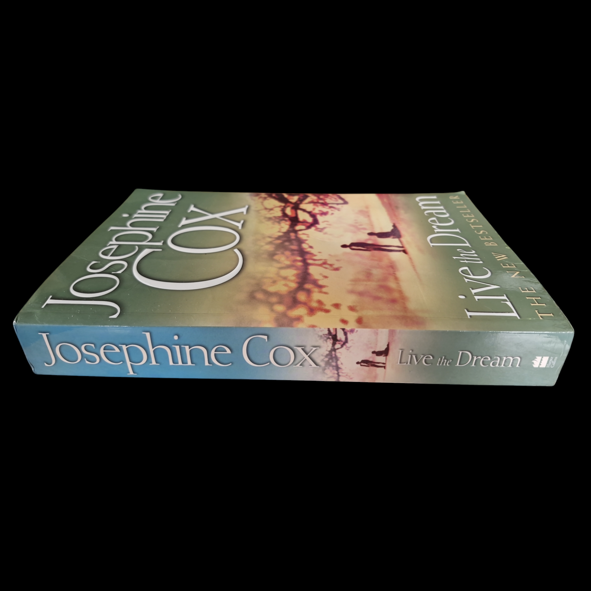 Josephine Cox- Live The Dream image 3